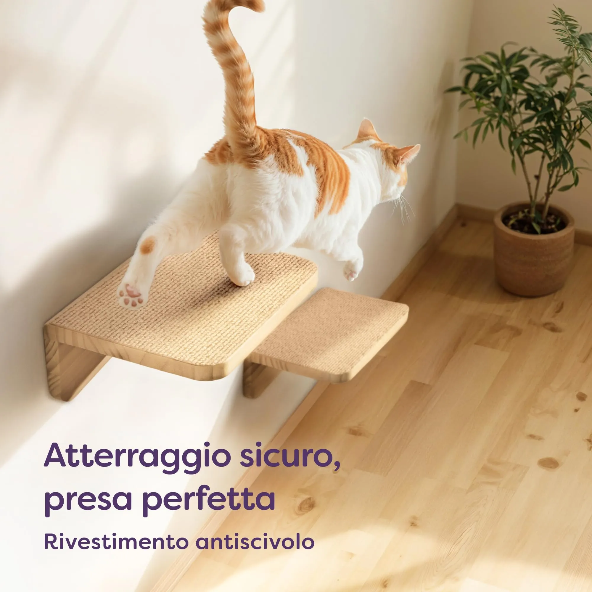 Knupis Mensole da Parete per Gatti con Amaca e 2 Scale – Pino FSC Beige - immagine 3