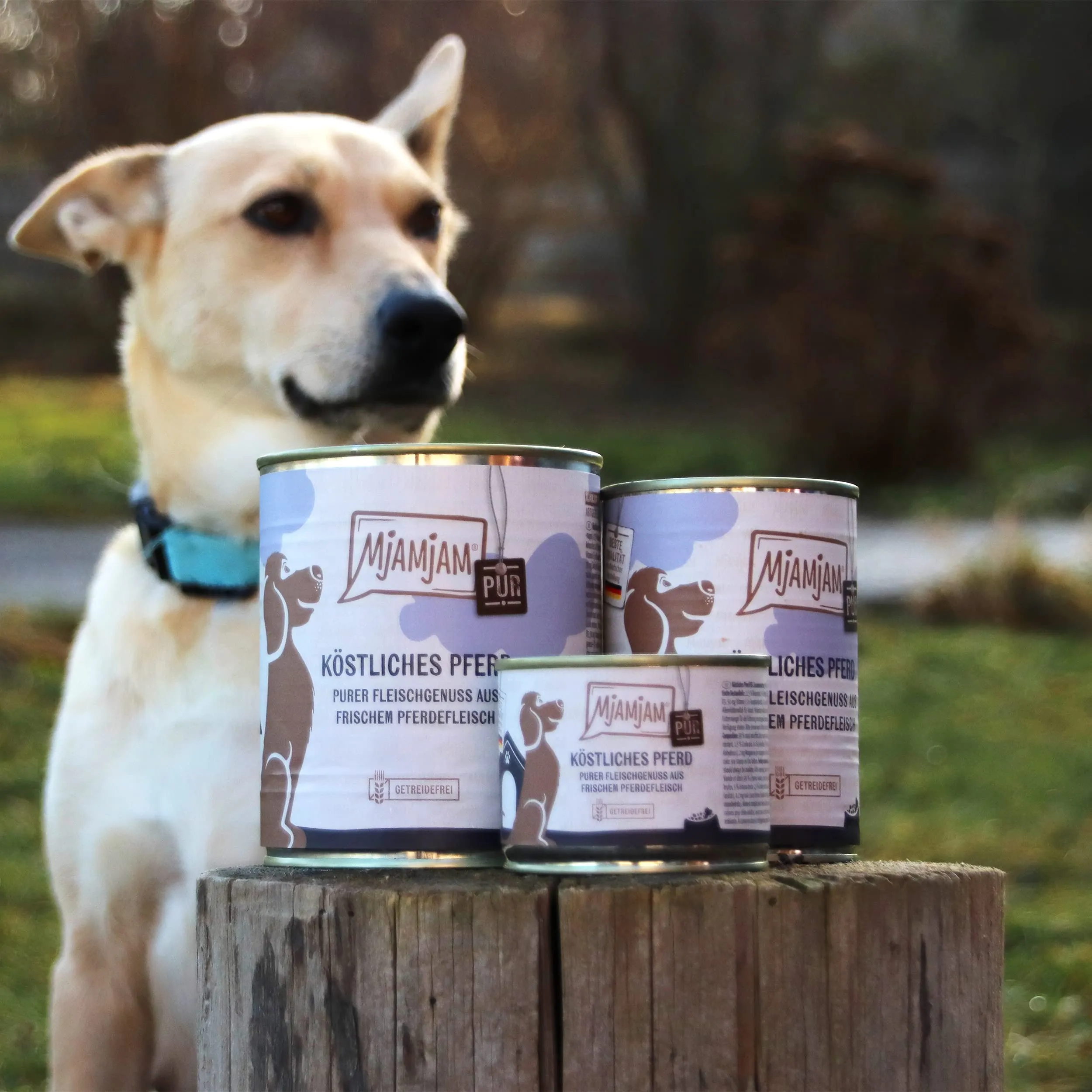MjAMjAM Cibo Umido per Cani Cavallo Senza Cereali 6 x 400 g - immagine 2