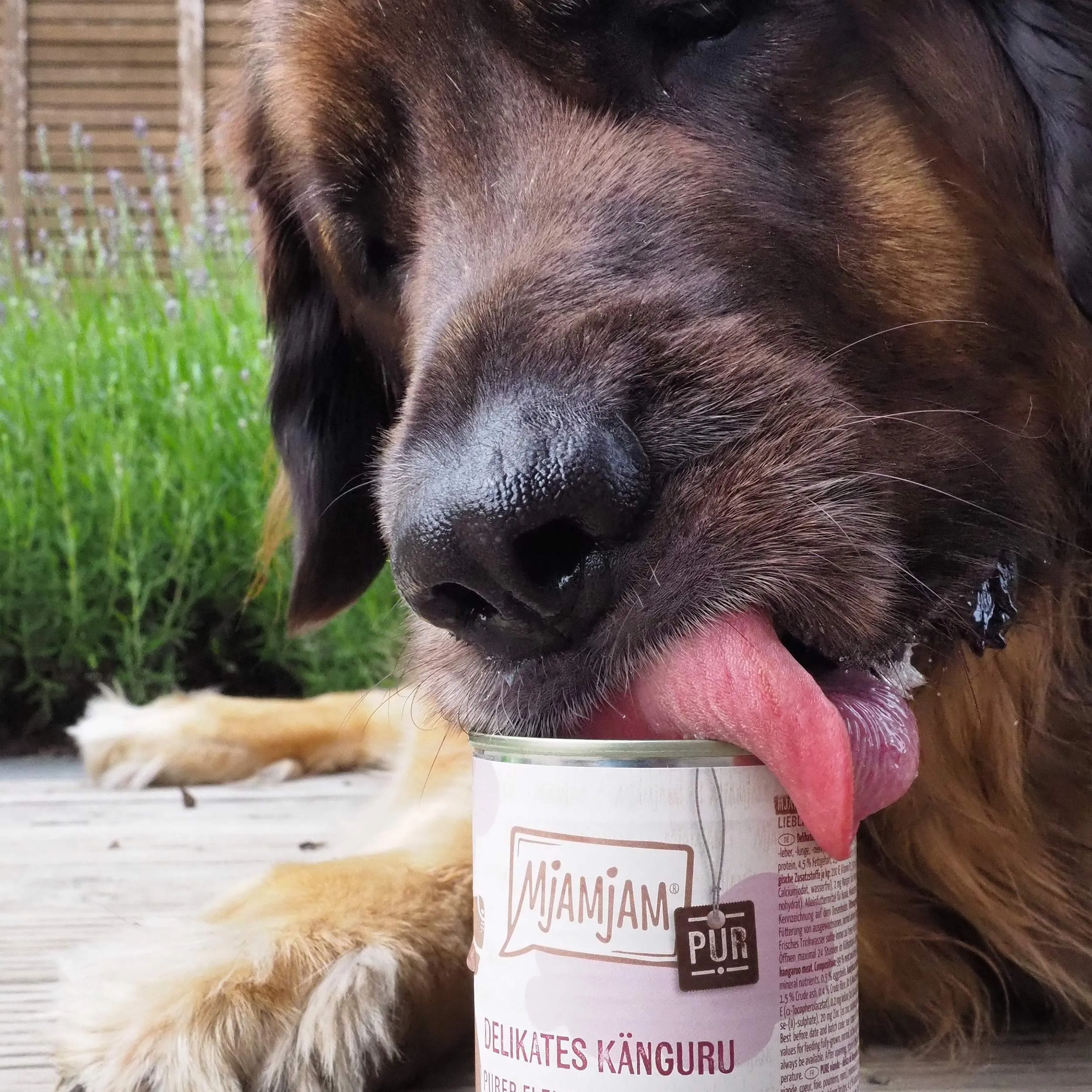 MjAMjAM Cibo Umido Premium per Cani Canguro Puro Senza Cereali, 6 x 800 g - immagine 2