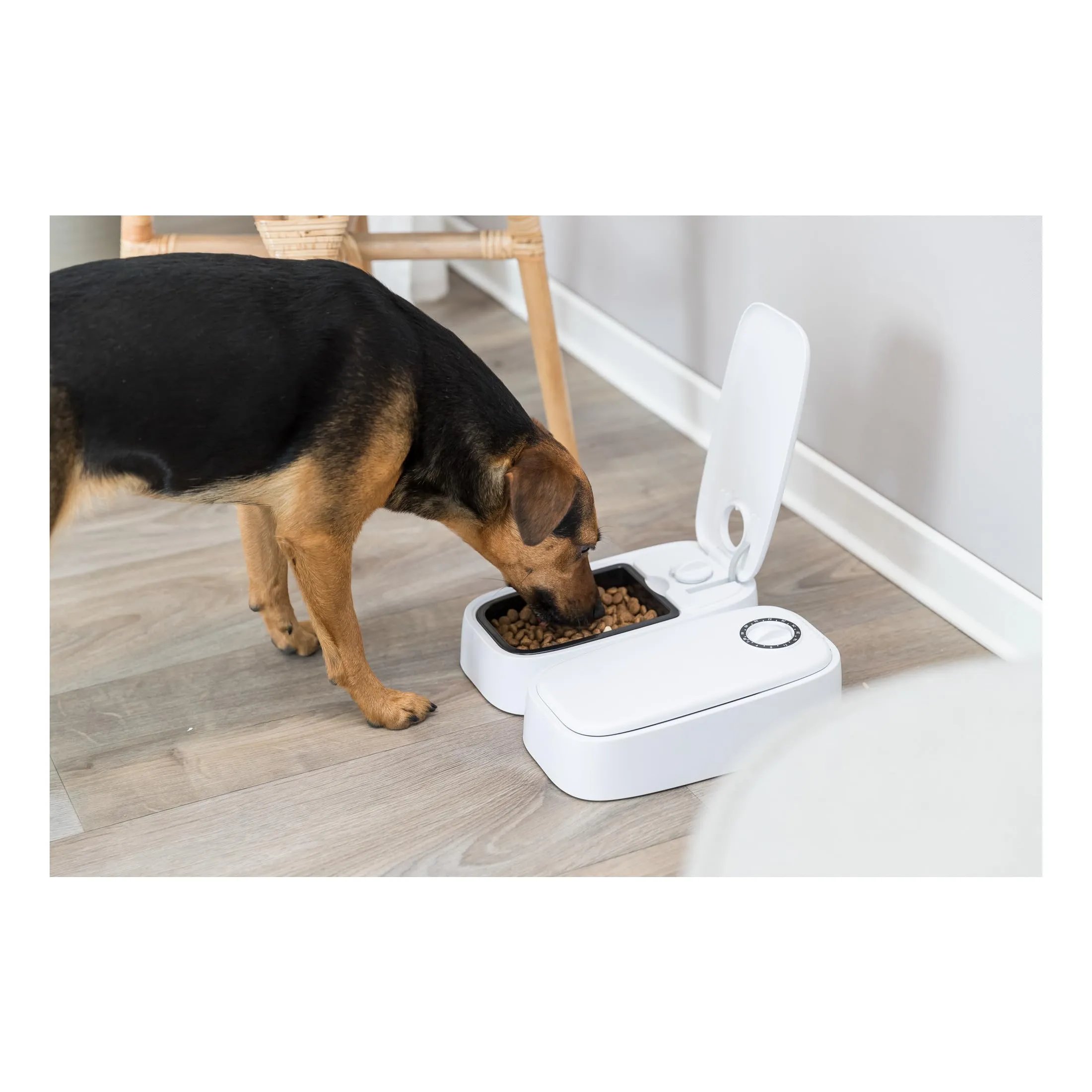 TRIXIE Distributore Automatico di Cibo TX2 per Cani e Gatti, 27 × 7 × 24 cm - immagine 5