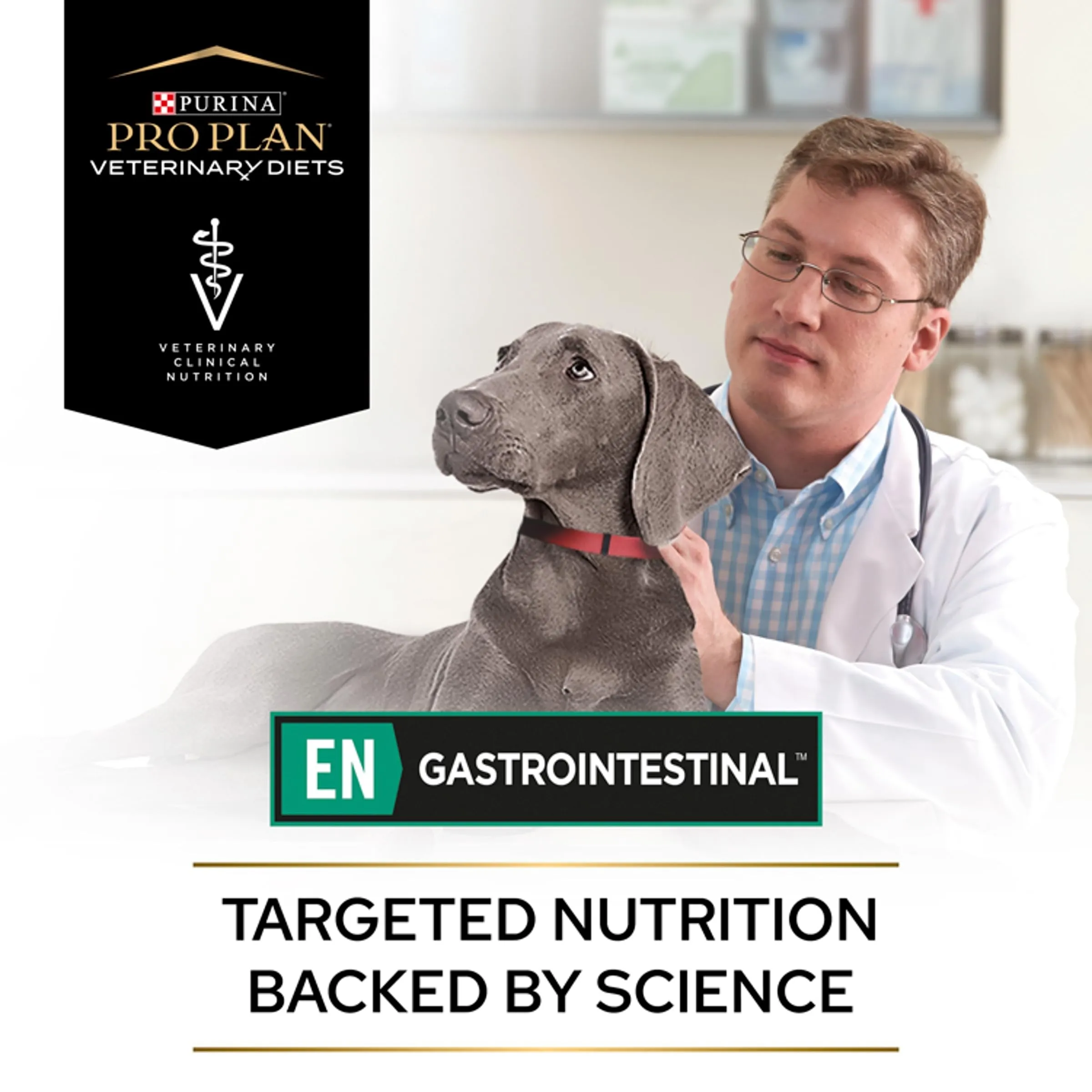 Purina Pro Plan Veterinary Diets Gastrointestinal per Cani Cuccioli e Adulti, 5kg - immagine 8