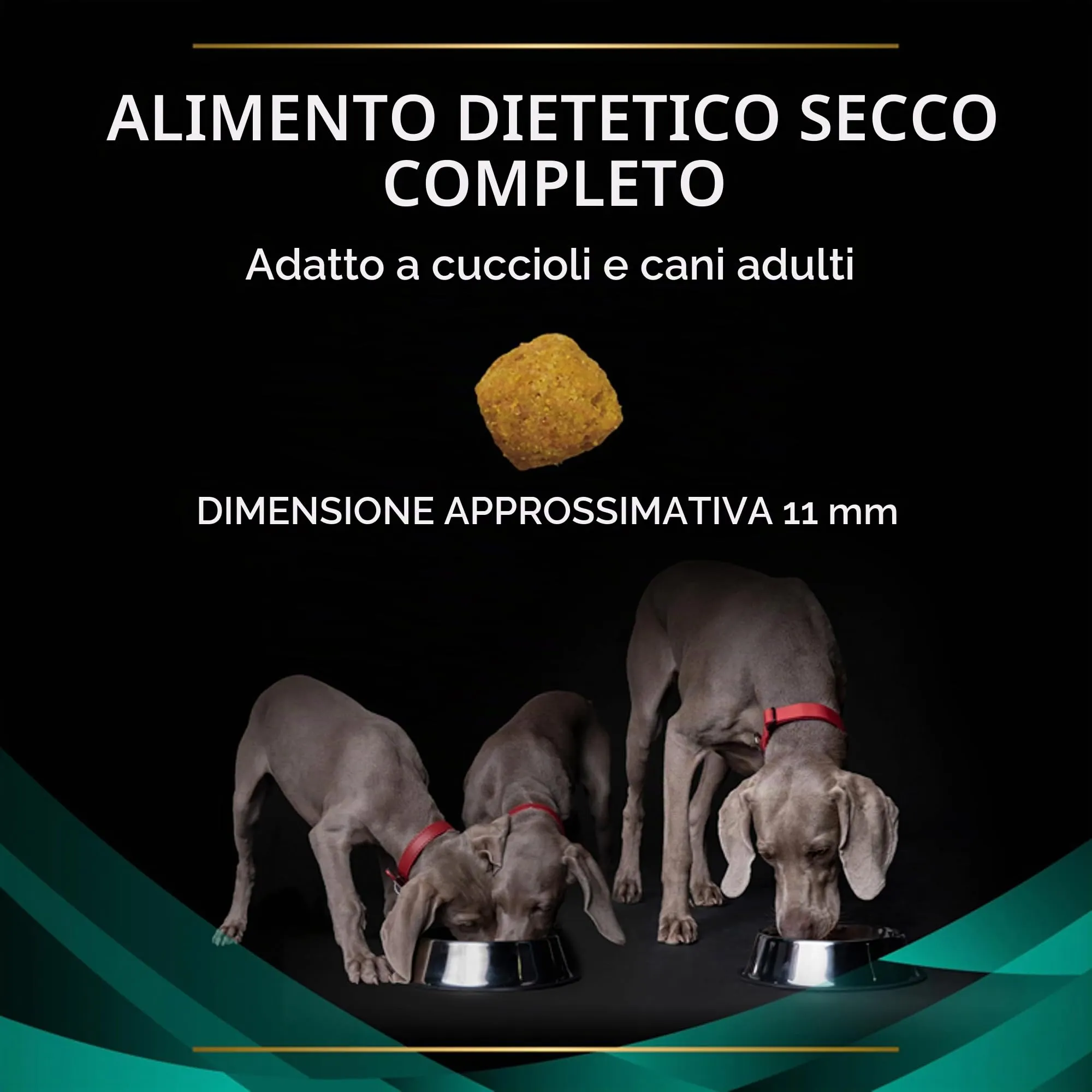 Purina Pro Plan Veterinary Diets Gastrointestinal per Cani Cuccioli e Adulti, 5kg - immagine 12