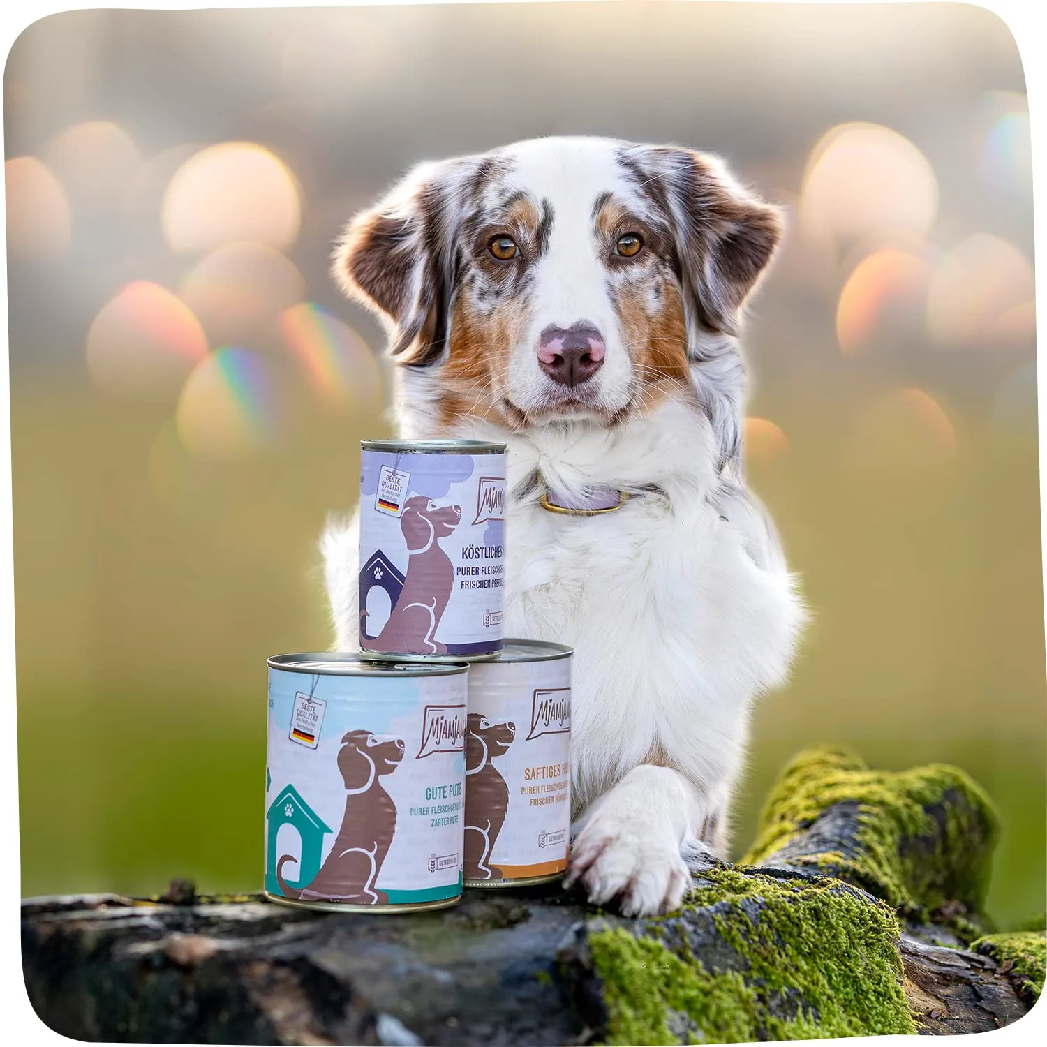 MjAMjAM Cibo Umido per Cani Tacchino Puro, Senza Cereali, 6 x 400 g - immagine 3