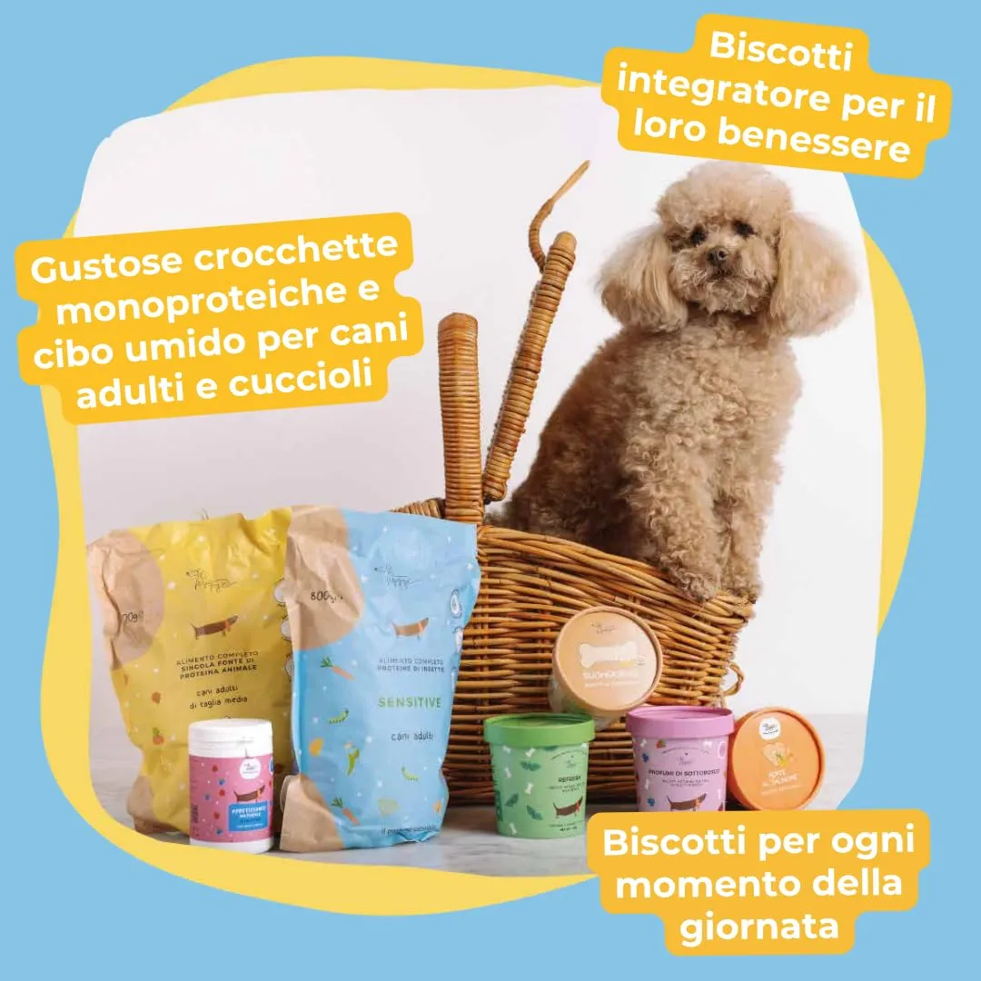 Hygge Dog Cibo Umido per Cani Monoproteico con Proteina di Insetto e Patate Dolci, Grain Free, 12 x 400 g - immagine 8