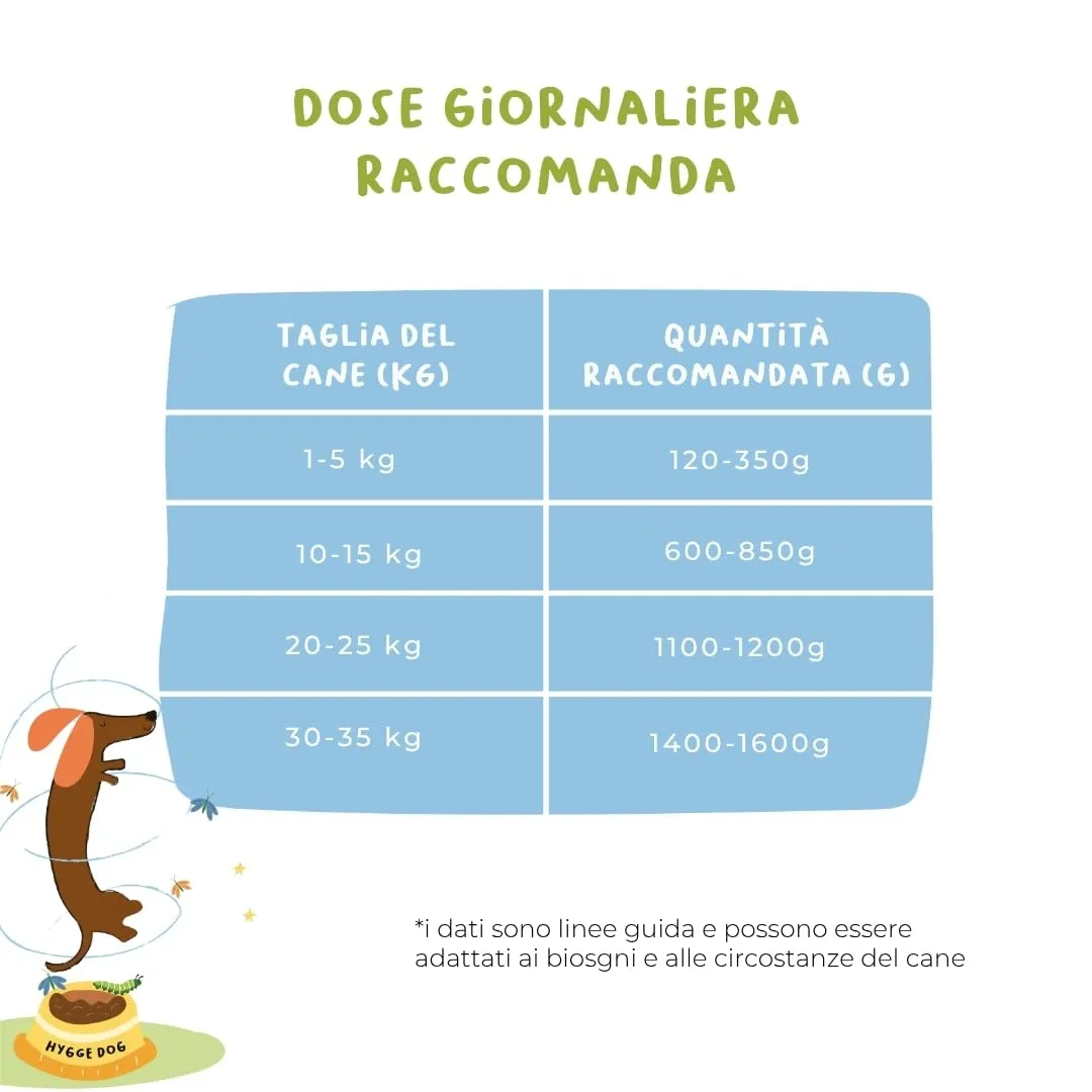 Hygge Dog Cibo Umido per Cani Monoproteico all'Agnello, Paté con Zucchine e Banana, Grain Free, 6 x 400g - immagine 5