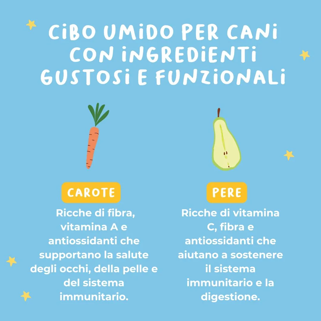 Hygge Cibo Umido per Cani senza Cereali al Salmone, 6 x 400g - immagine 3