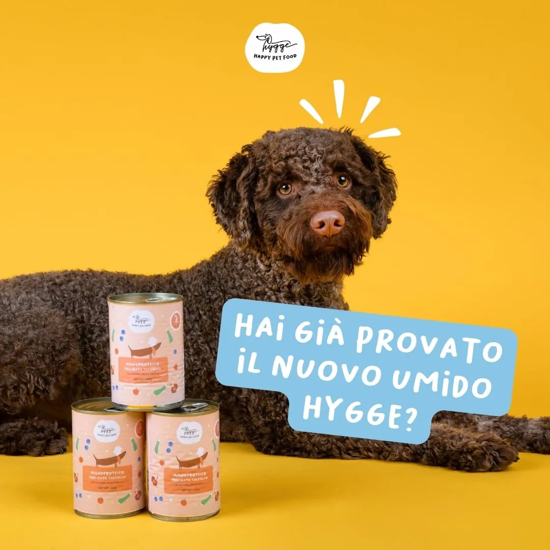 Hygge Cibo Umido per Cani Monoproteico al Cinghiale con Zucca Arrostita, Grain Free, 6 x 400g - immagine 6