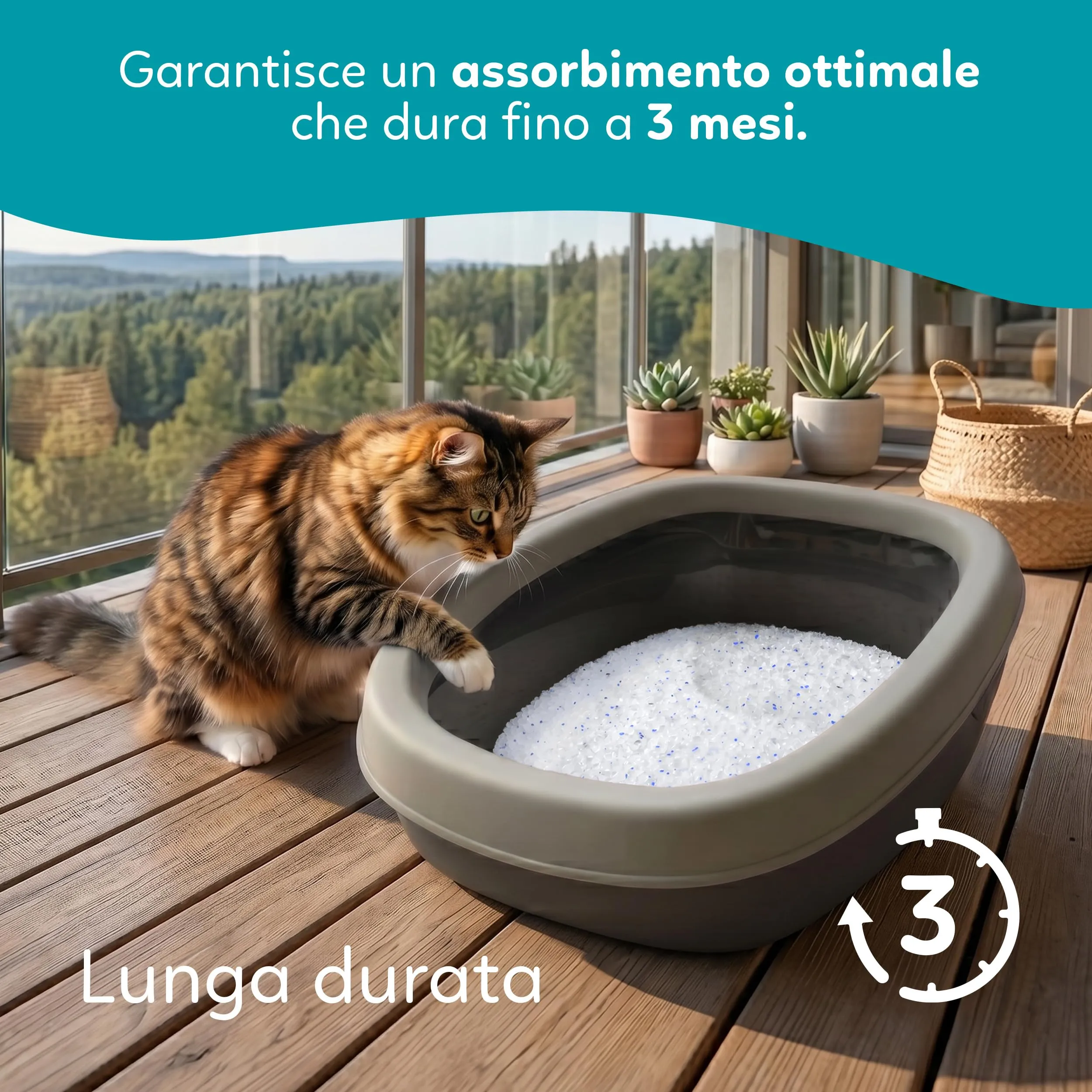 AQPET Lettiera al Silicio per Gatti, Profumazione Neutra, 32 Litri - immagine 3