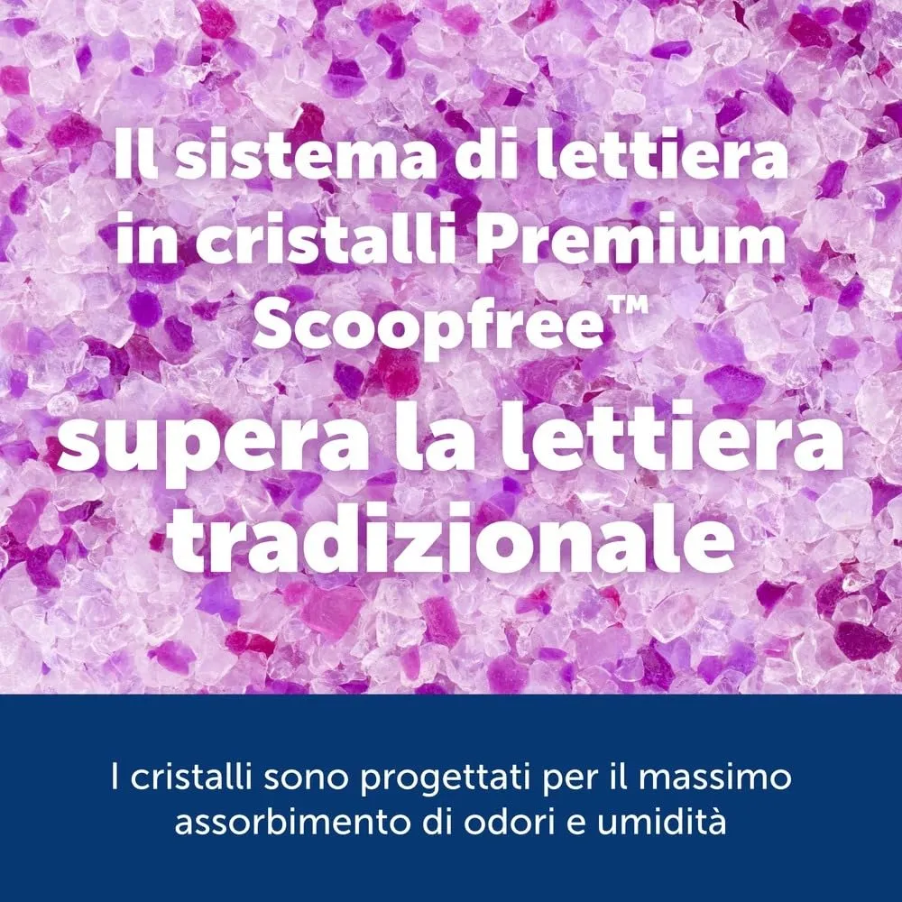 PetSafe ScoopFree Lettiera Cristalli Premium, Lavanda, Confezione da 2 - immagine 2