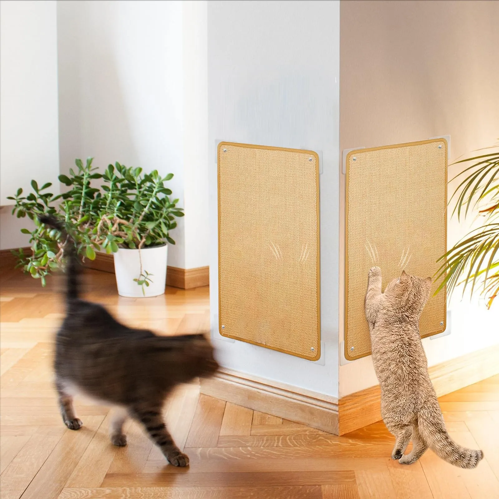 Wubushan Tappeto Tiragraffi per Gatti in Sisal, 40 x 60 cm, 2 Pezzi - immagine 8