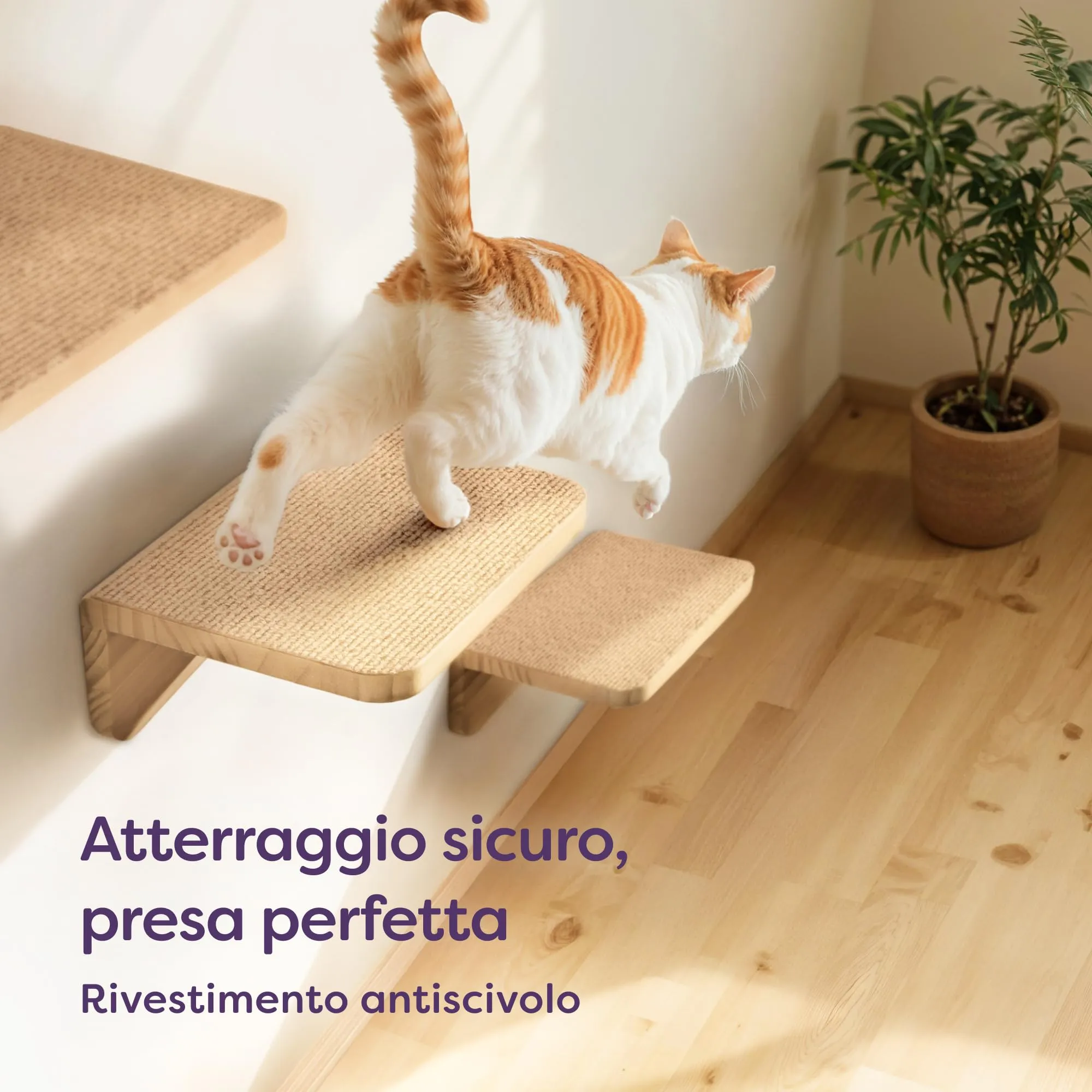 Knupis Percorso Gatti Da Parete, 3 Mensole Arrampicata in Legno di Pino FSC, Tessuto Antiscivolo, Beige - immagine 3