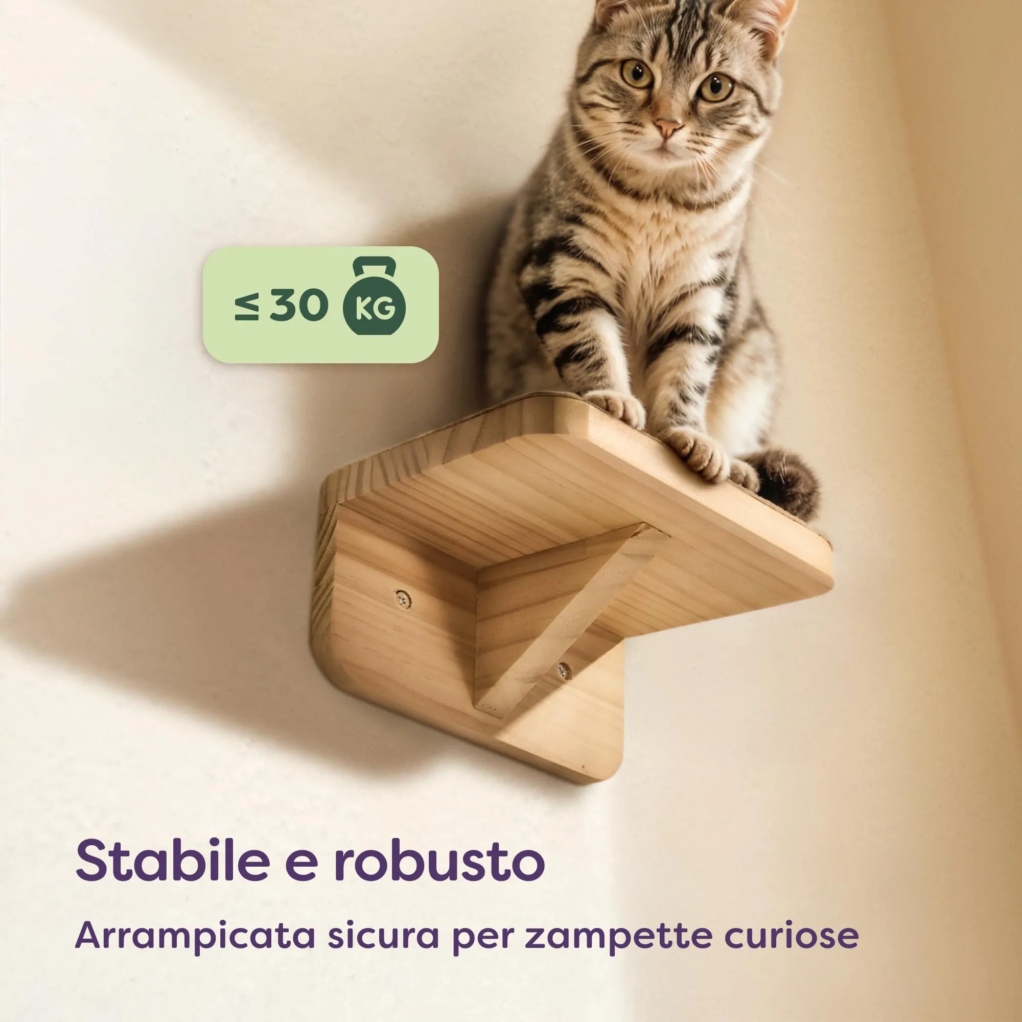 Knupis Percorso Gatti Da Parete, 3 Mensole Arrampicata in Legno di Pino FSC, Tessuto Antiscivolo, Beige - immagine 5