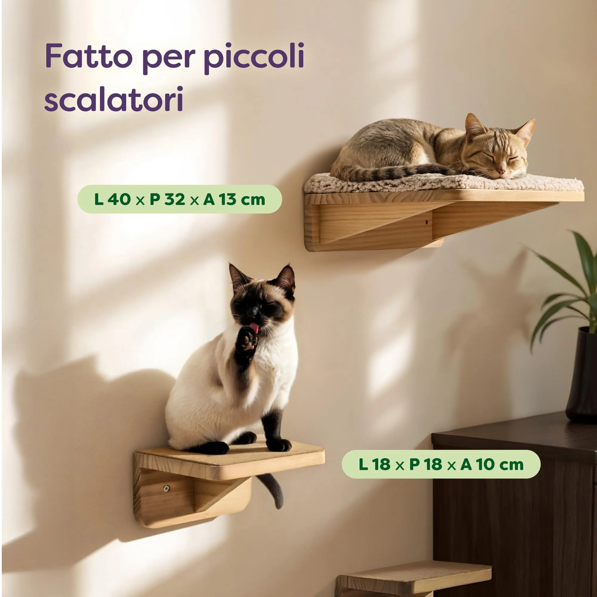 Knupis Mensole da Parete per Gatti con Letto e 2 Scale - Pino FSC Beige - immagine 2