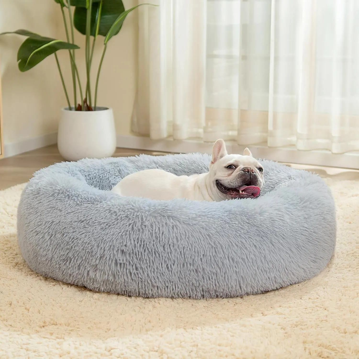 LUOJINYI Cuccia Morbida per Cani e Gatti, Rotonda, 60 cm, Grigio Chiaro - immagine 8