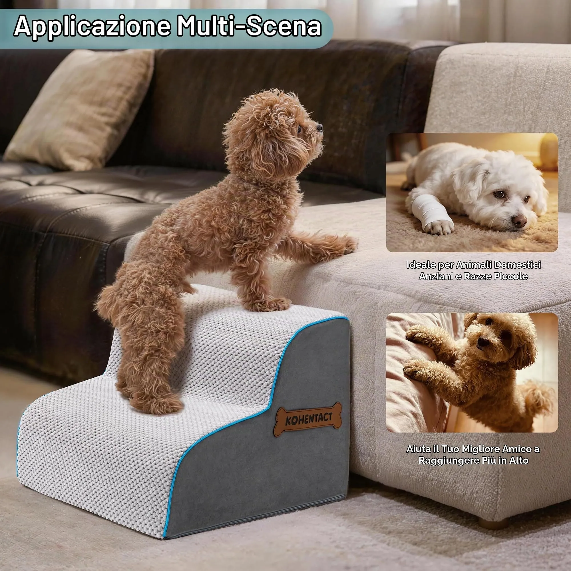 Kohentact Scaletta per Cani e Rampa per Letto e Divano, 33-61 cm, Schiuma 40D, Antiscivolo, Grigio - immagine 4
