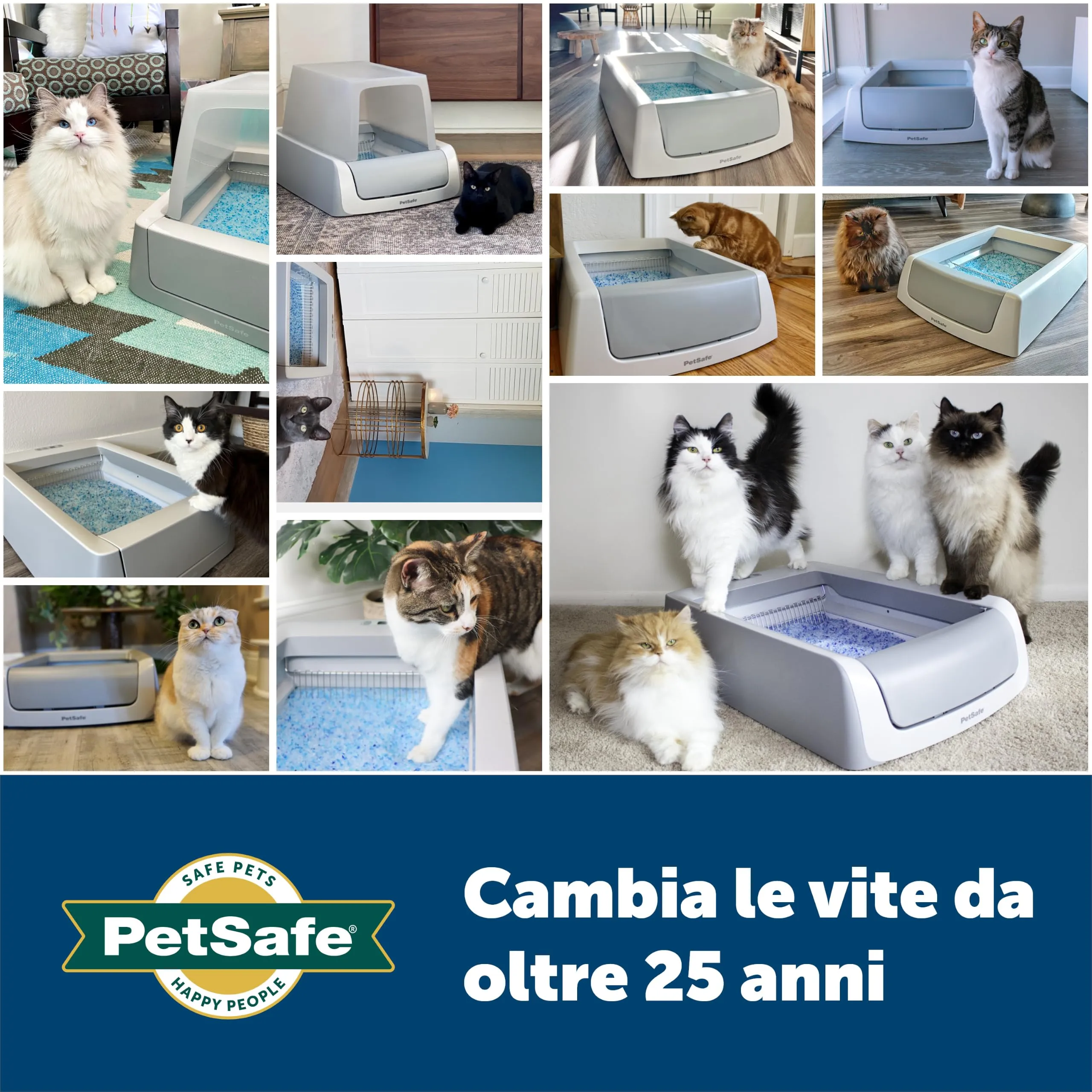PetSafe ScoopFree Lettiera Cristalli Premium, Blu, Conf. da 2 - immagine 6