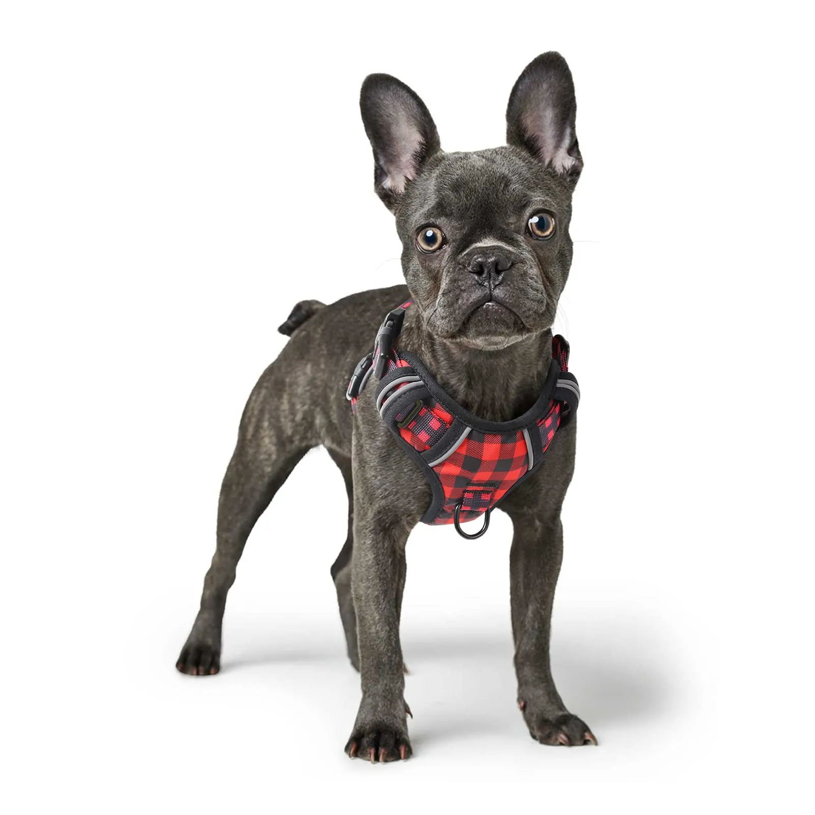 HEELE Pettorina Cane Anti-tiro Riflettente e Regolabile con Maniglia, Rosso-Nero S - immagine 7