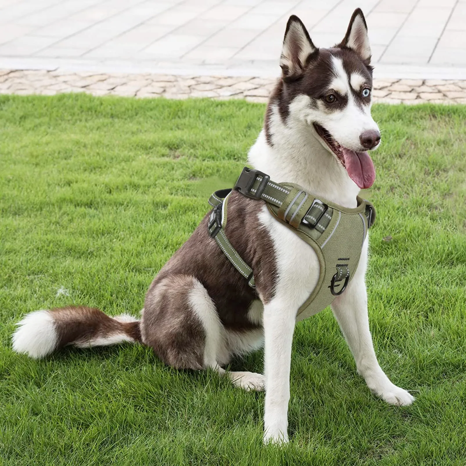 HEELE Pettorina Cane Anti-tiro Riflettente e Regolabile con Maniglia, Turchese L - immagine 6