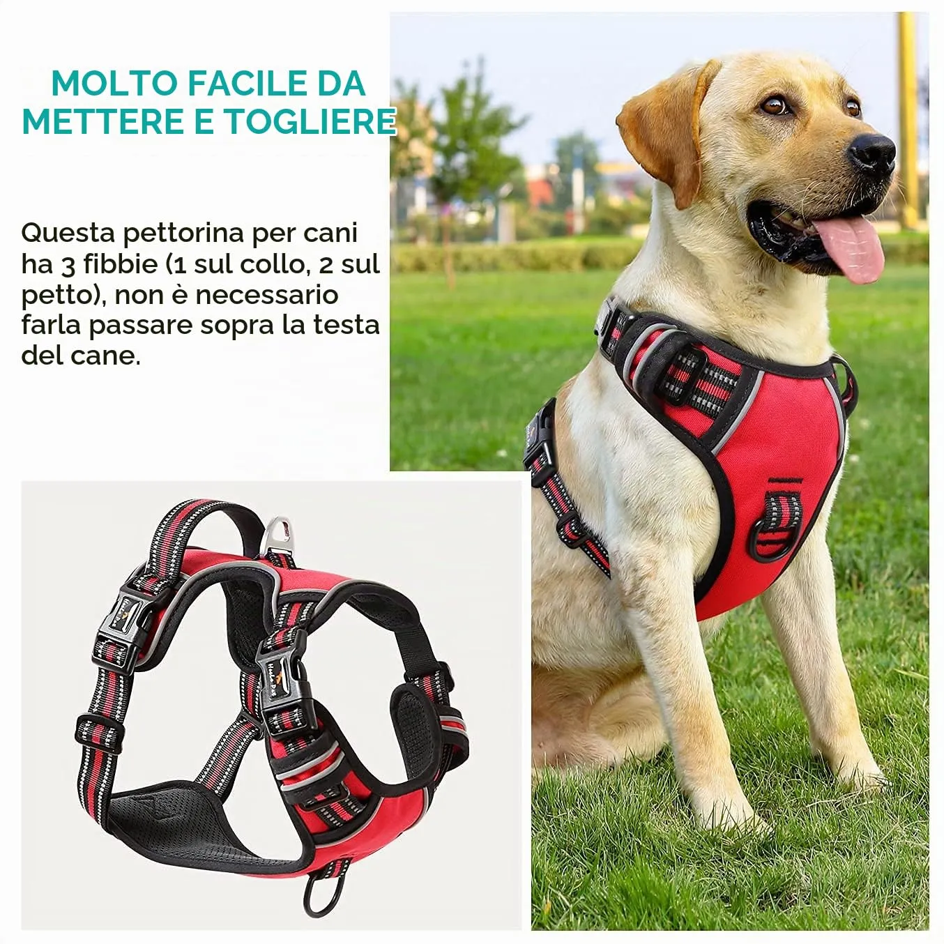 HEELE Pettorina Cane Anti-tiro Riflettente e Regolabile con Maniglia, Rosso, L - immagine 6