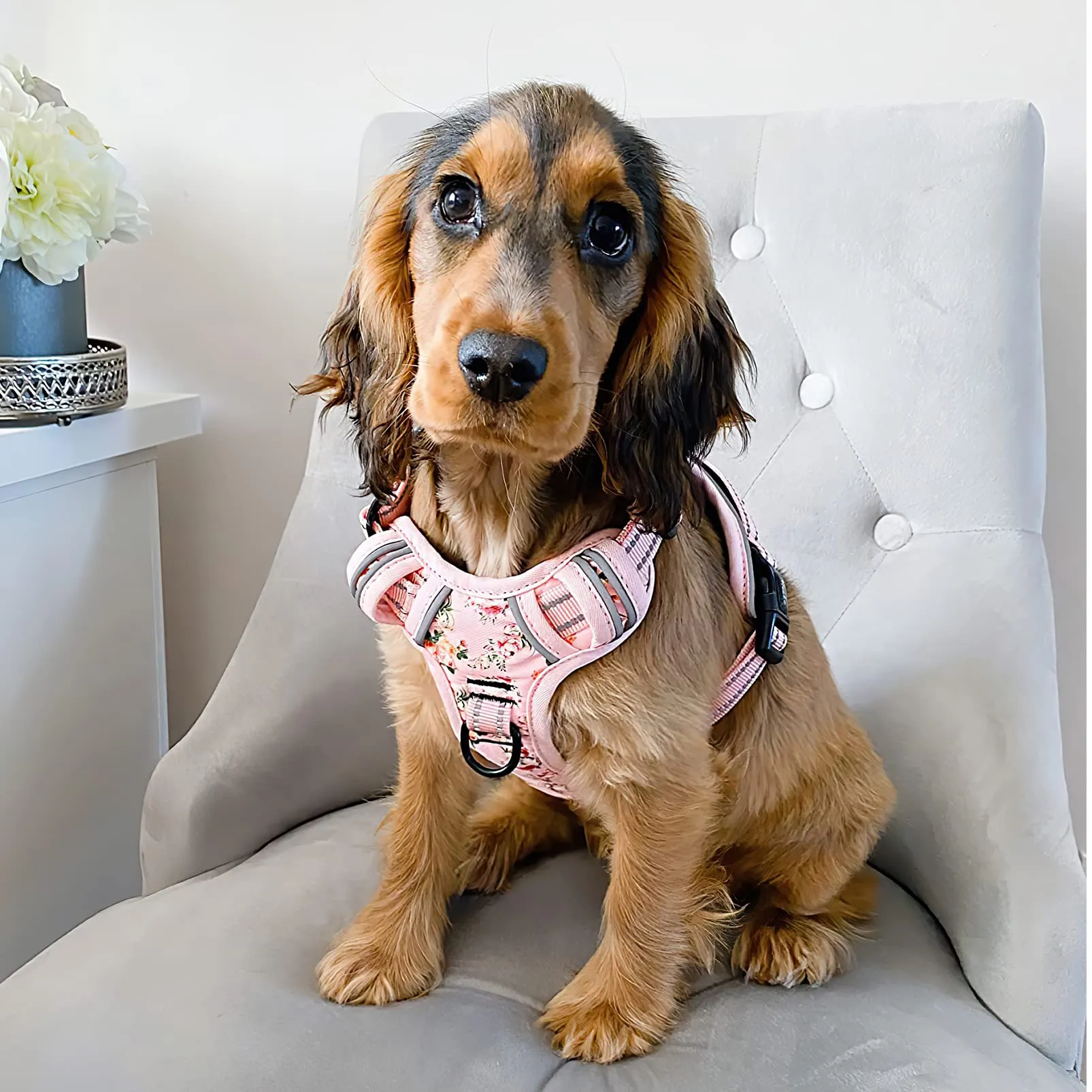 HEELE Pettorina Cane Anti-tiro Riflettente e Regolabile, Imbracatura con Sgancio Rapido e Maniglia, Imbottita, Floral-Rosa, M - immagine 4