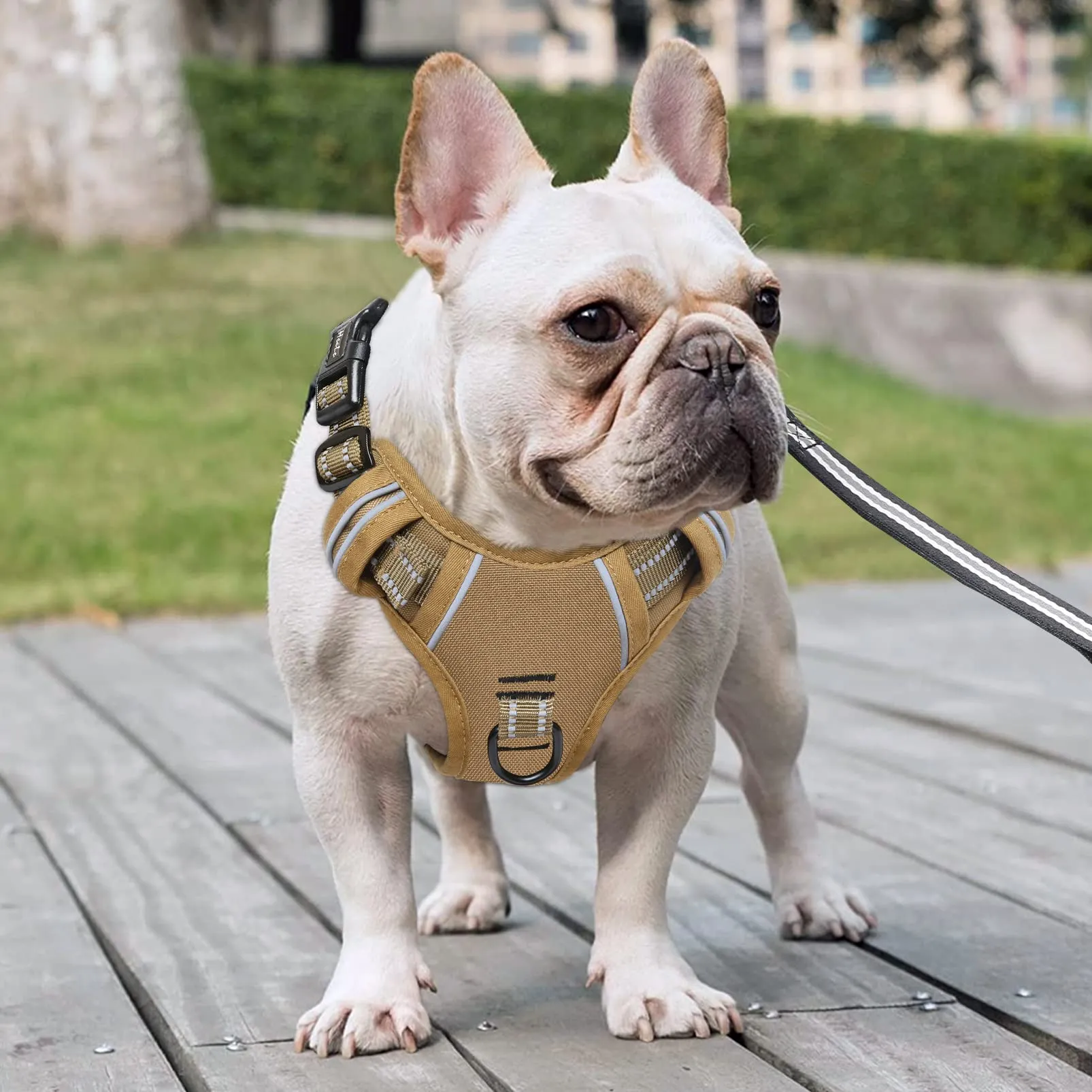 HEELE Imbracatura Cane Anti-tiro Riflettente e Regolabile con Maniglia, Marrone S - immagine 5