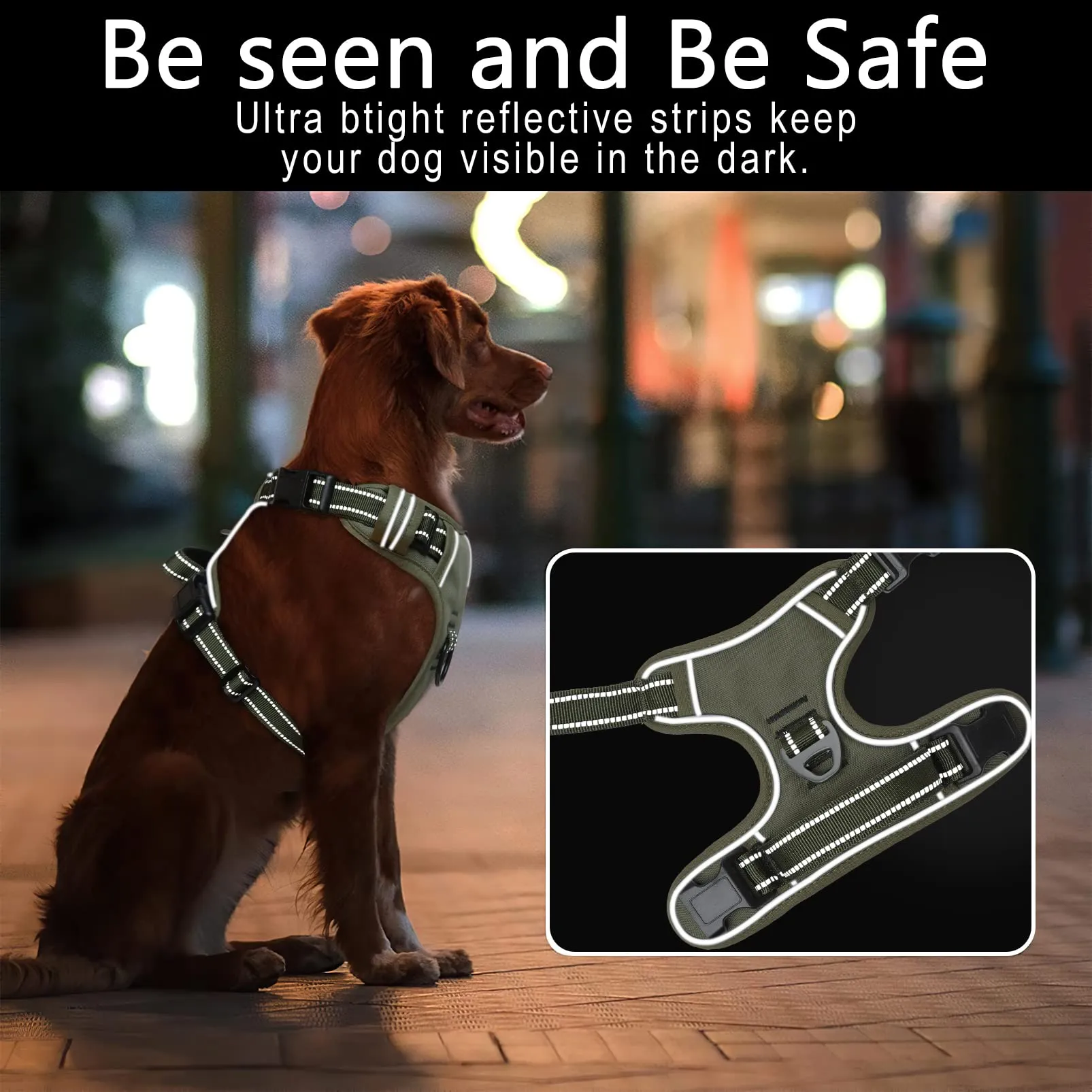 HEELE Pettorina Cane Anti-tiro Riflettente e Regolabile, Imbracatura con Sgancio Rapido e Maniglia, Turchese XL - immagine 4