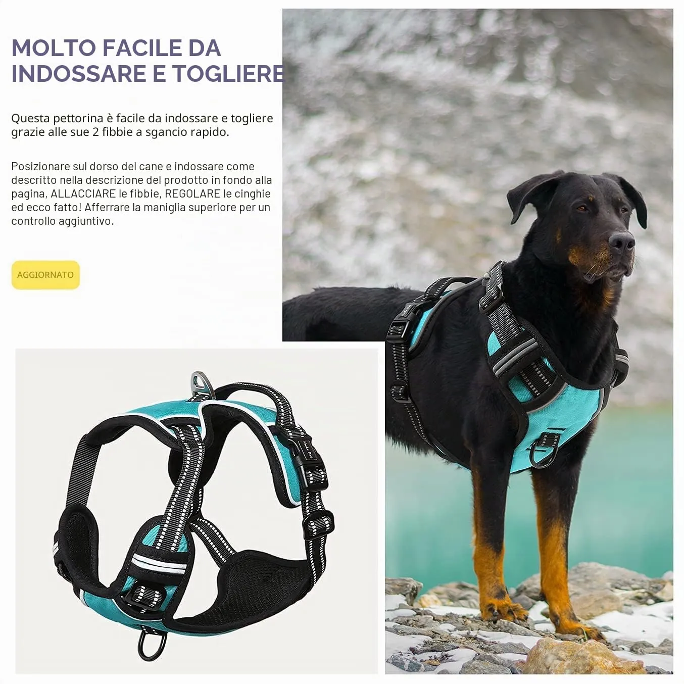 HEELE Pettorina Cane Anti-tiro Riflettente e Regolabile, Imbracatura con Sgancio Rapido e Maniglia, Turchese XL - immagine 7