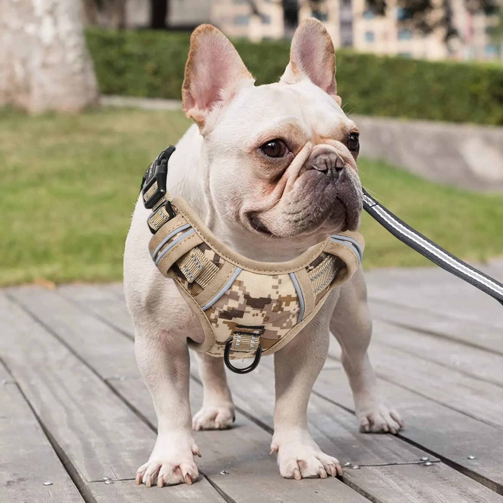 HEELE Pettorina Cane Anti-tiro Riflettente e Regolabile, Imbracatura con Sgancio Rapido dal Collo e Maniglia, Turchese S - immagine 6