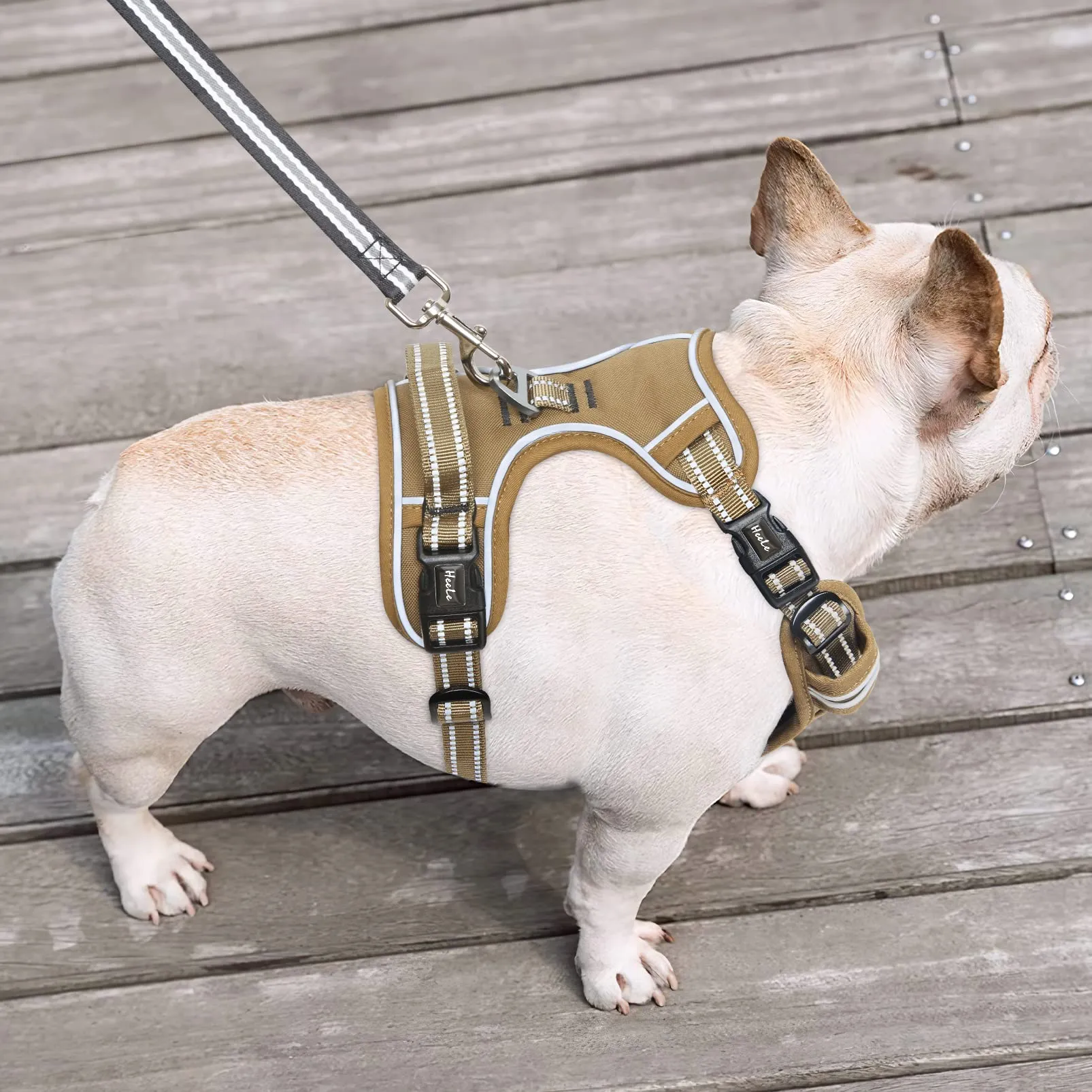 HEELE Pettorina Cane Anti-tiro Riflettente e Regolabile con Maniglia, Marrone M - immagine 5