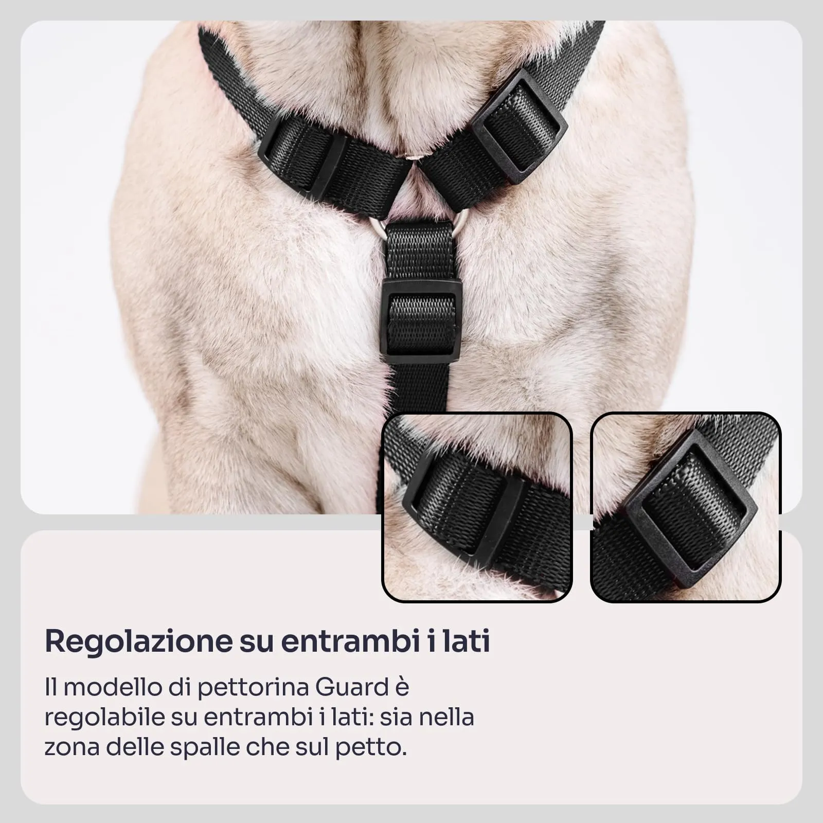 Chaba Guard Pettorina per cani taglia media, Nero - M - immagine 5