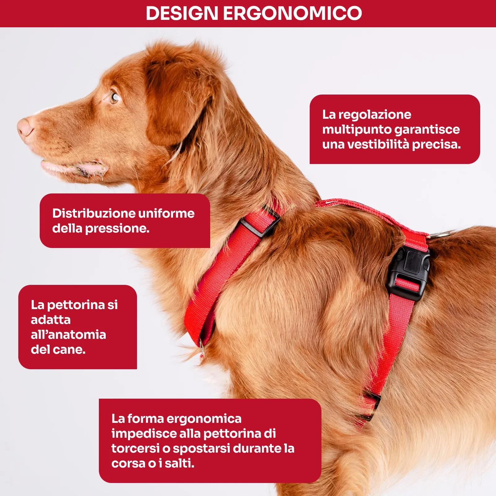 Chaba Guard Pettorina per cani, Regolabile, Rosso - XL - immagine 4