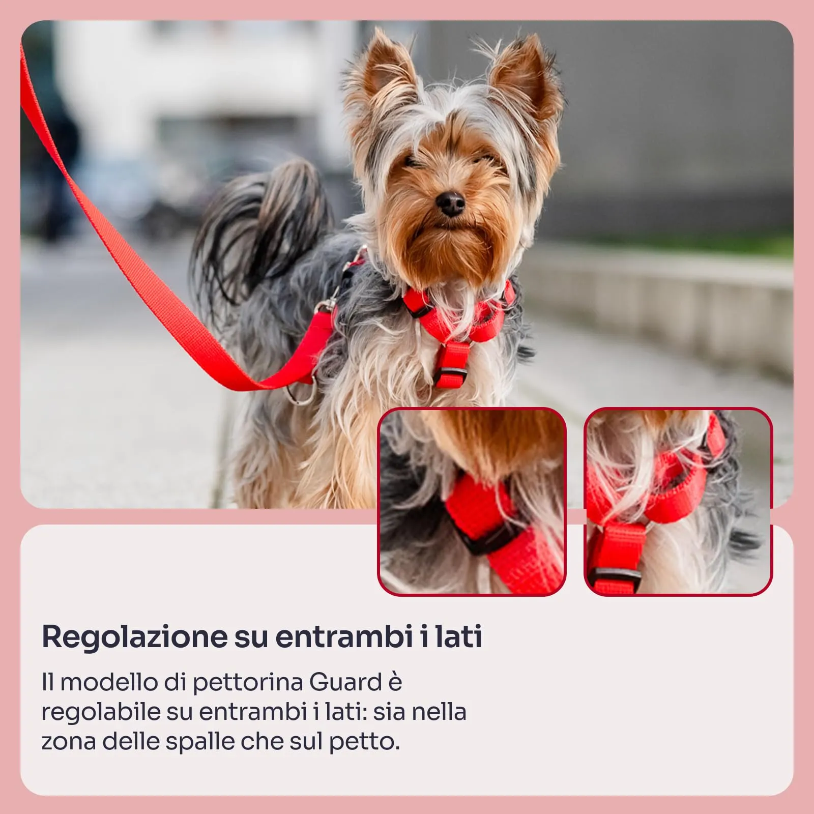 Chaba Guard Pettorina per cani, Regolabile, Rosso - XL - immagine 5