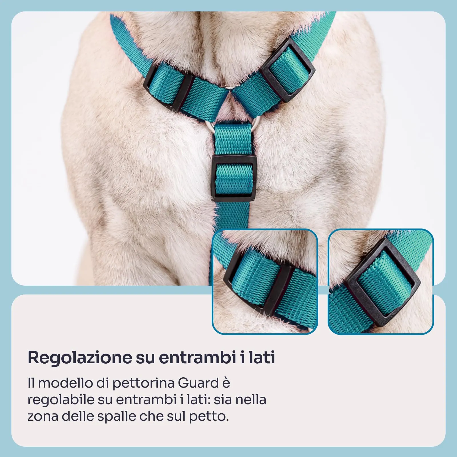 Chaba Guard Pettorina per cani, taglia M, Marino - immagine 5