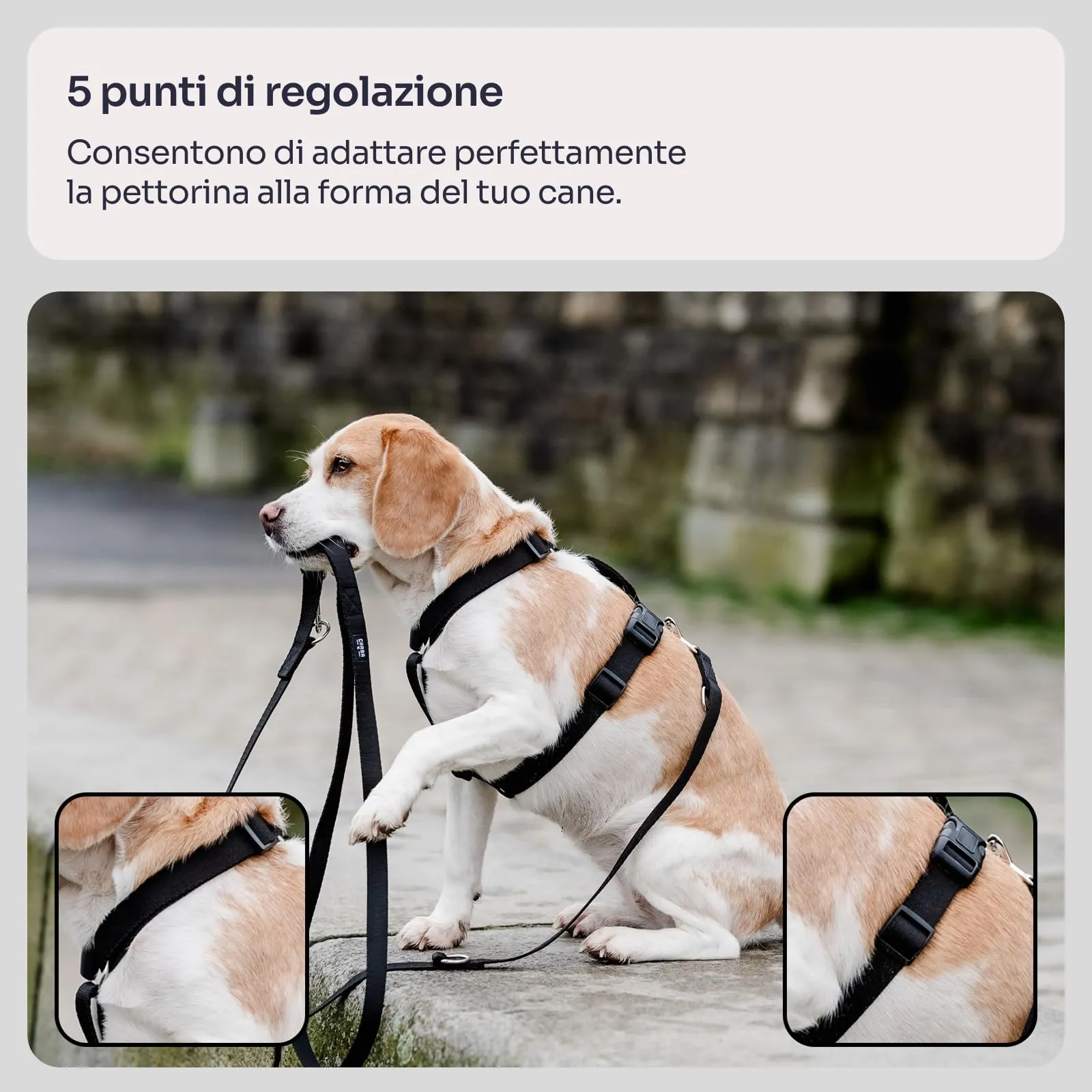 Chaba Guard Pettorina per cani taglia piccola, Nero - S - immagine 3
