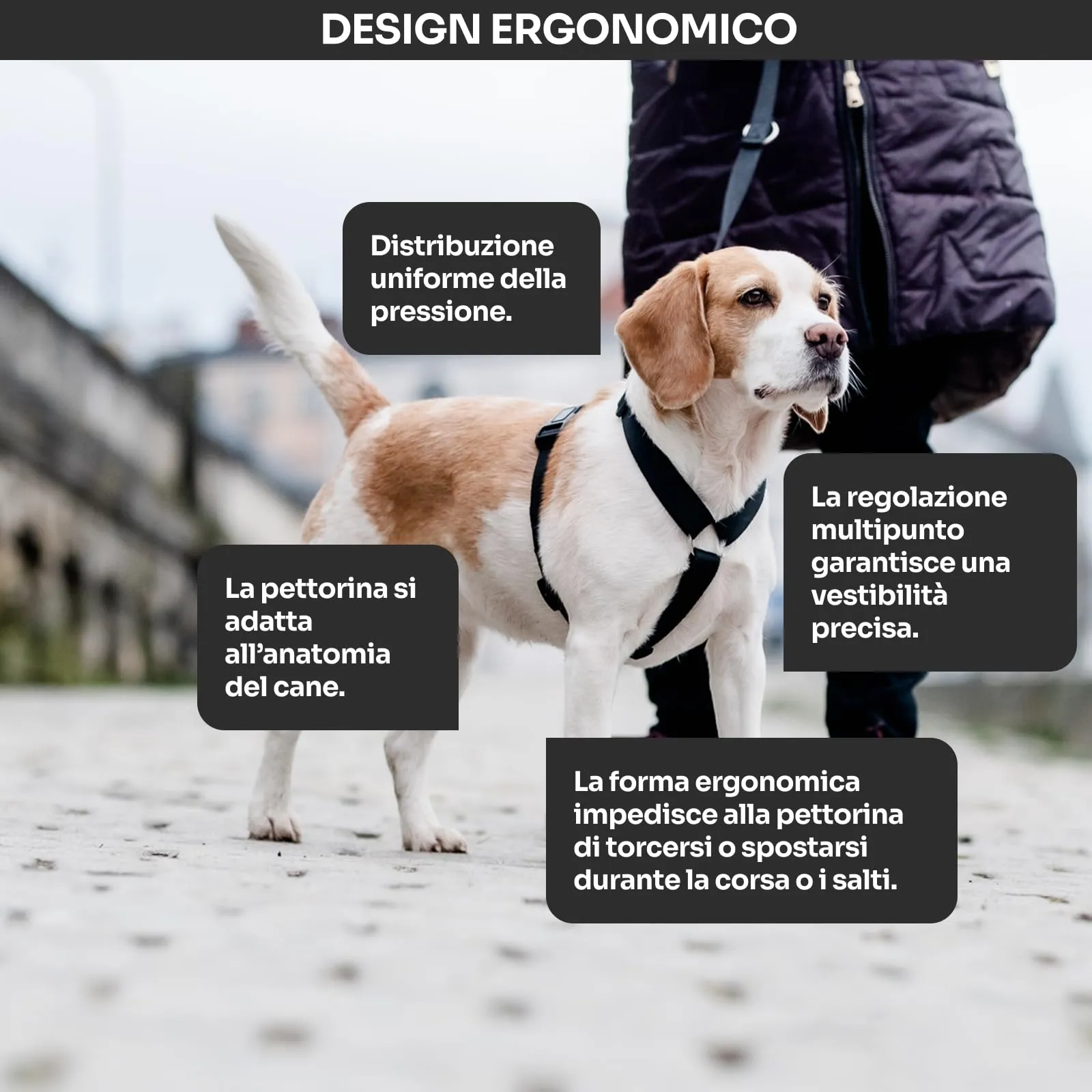 Chaba Guard Pettorina per cani taglia piccola, Nero - S - immagine 4
