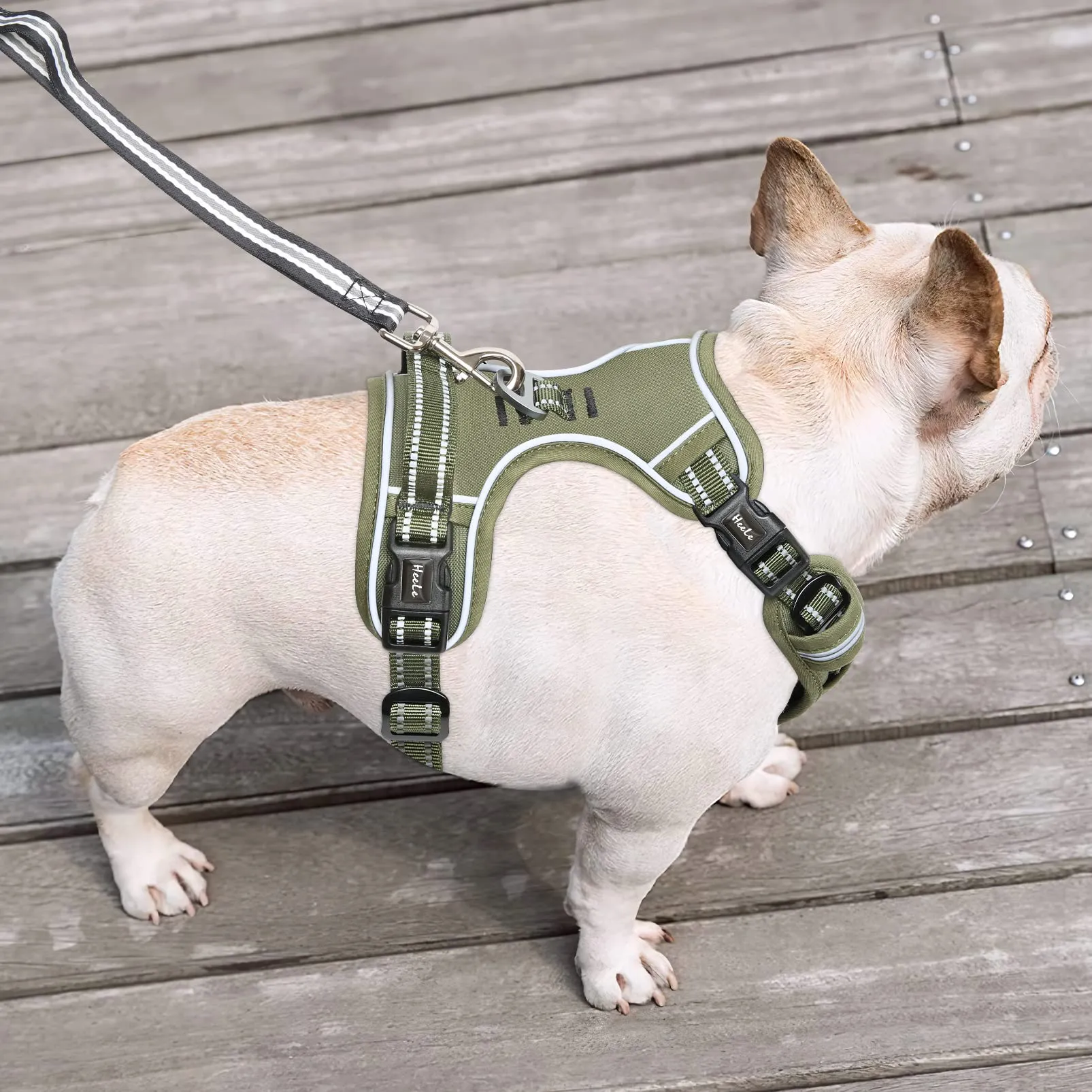 HEELE Pettorina Cane Anti-tiro Riflettente e Regolabile, Imbracatura con Sgancio Rapido dal Collo e Maniglia, Morbida e Imbottita, Verde Militare, S - immagine 4