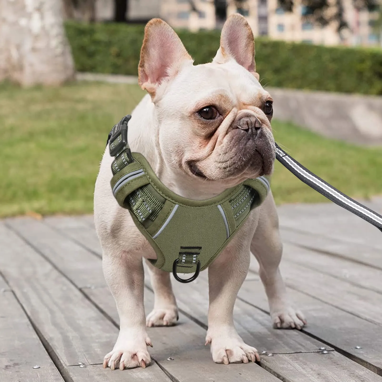 HEELE Imbracatura per Cani Anti-tiro Riflettente e Regolabile, Militare Verde, M - immagine 5