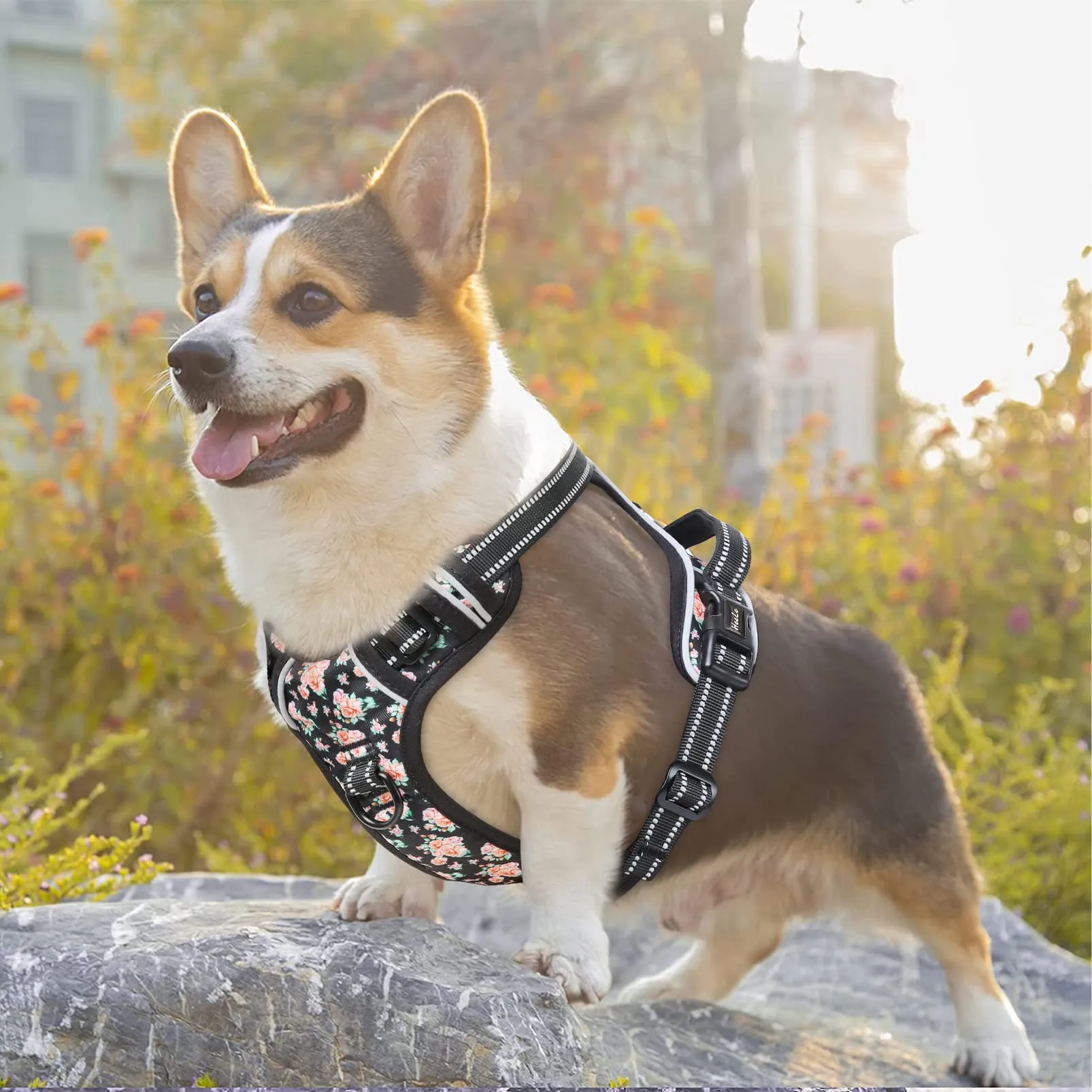 HEELE Pettorina Cane Anti-tiro Riflettente e Regolabile, Imbracatura a Sgancio Rapido con Maniglia, Morbida e Imbottita, Floral-Nero M - immagine 4