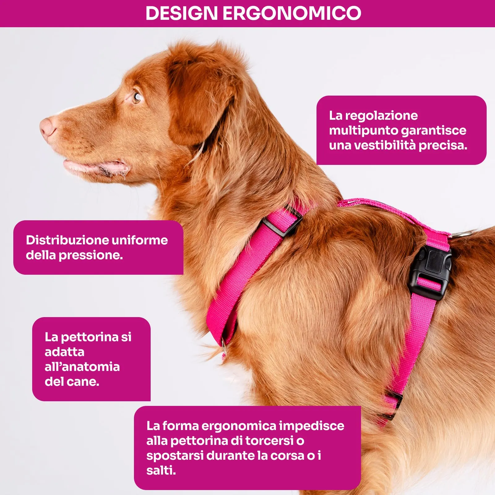 Chaba Guard Pettorina per cani taglia piccola, Fuscia - S - immagine 4