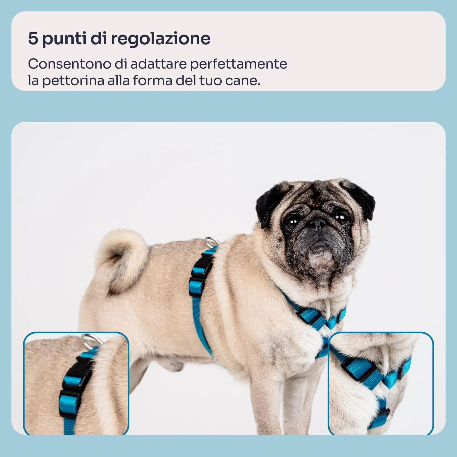 Chaba Guard Pettorina per cani, taglia L, Marino - immagine 3