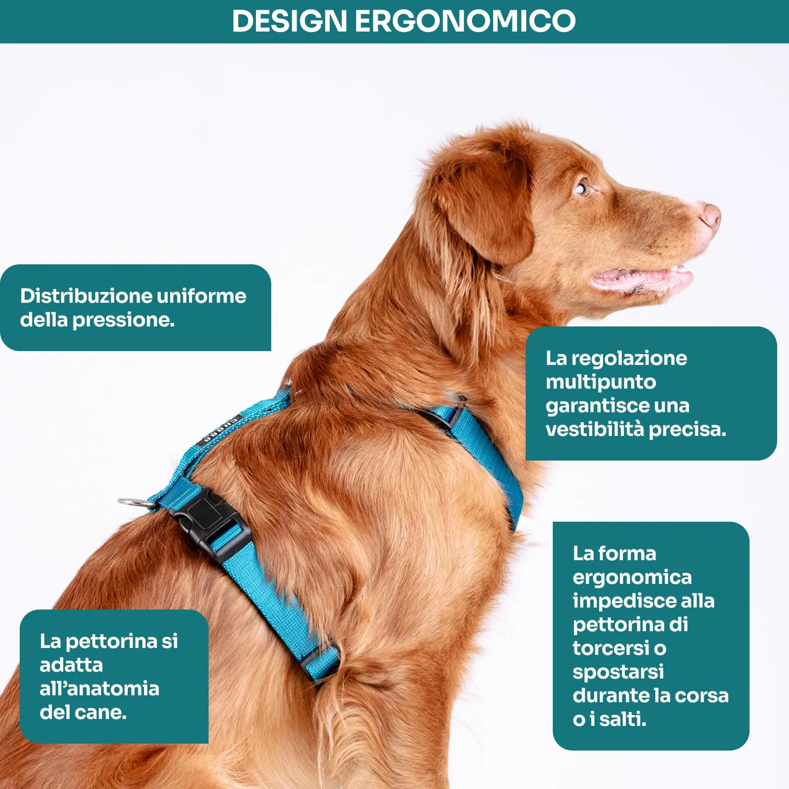 Chaba Guard Pettorina per cani, taglia L, Marino - immagine 4