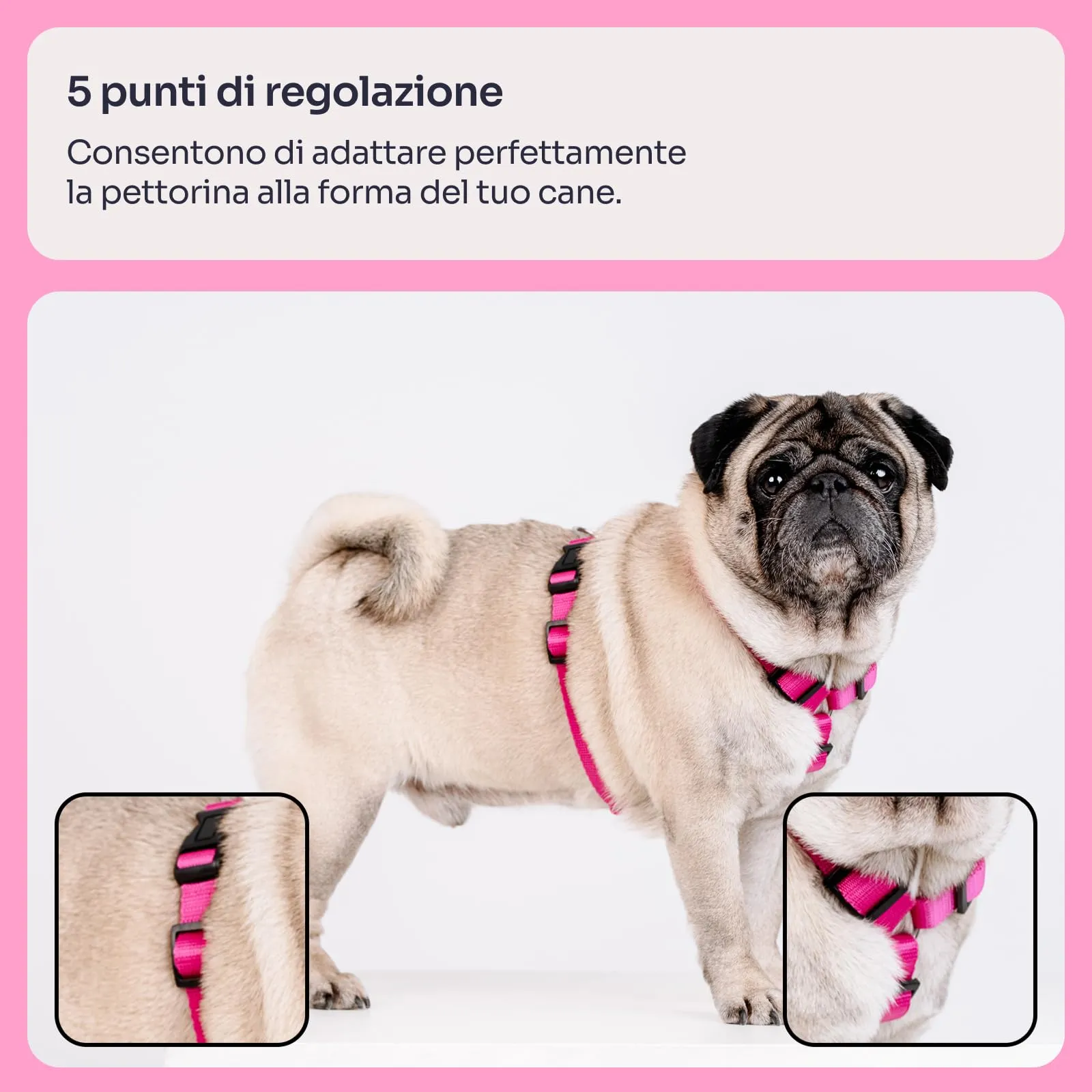 Chaba Guard Pettorina per Cani, Taglia XL, Fuscia - immagine 3