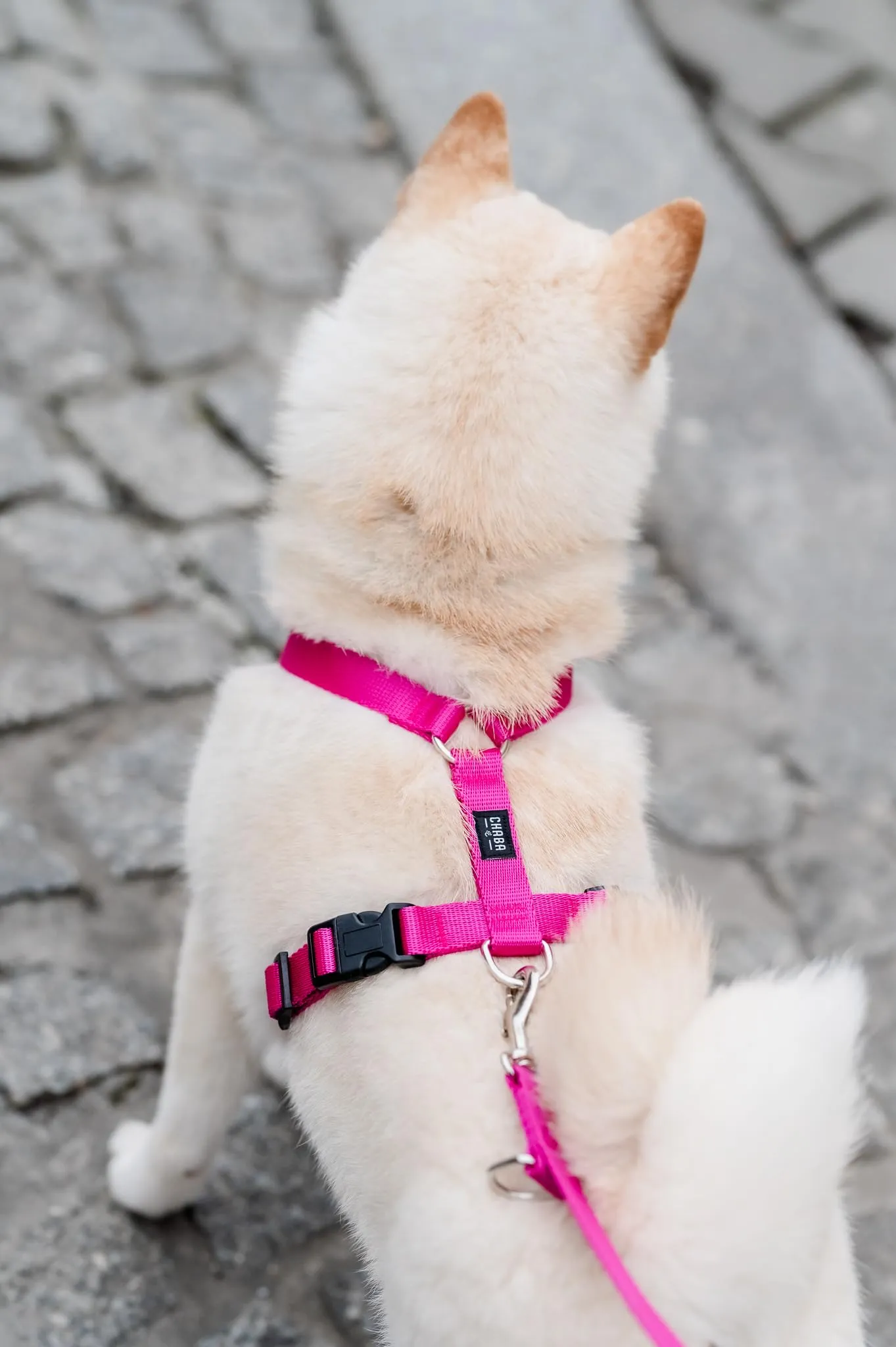 Chaba Guard Pettorina per Cani, Taglia XL, Fuscia - immagine 10