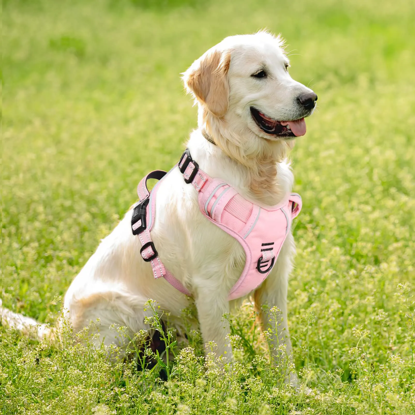 HEELE Imbracatura per Cani Anti-tiro Riflettente e Regolabile con Maniglia, Rosa Chiaro, XL - immagine 4