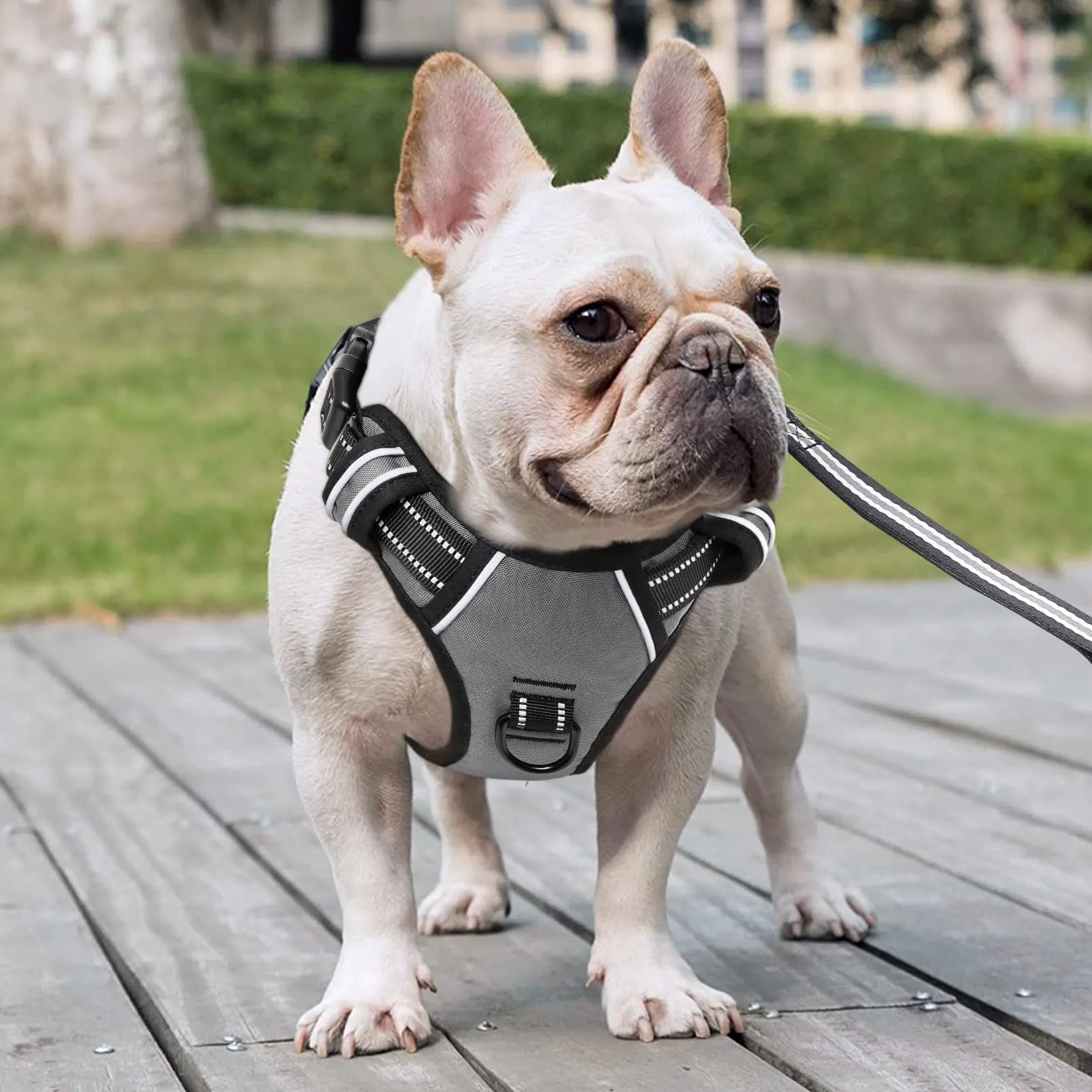 HEELE Pettorina Cane Anti-tiro Riflettente e Regolabile con Maniglia, Grigio M - immagine 3