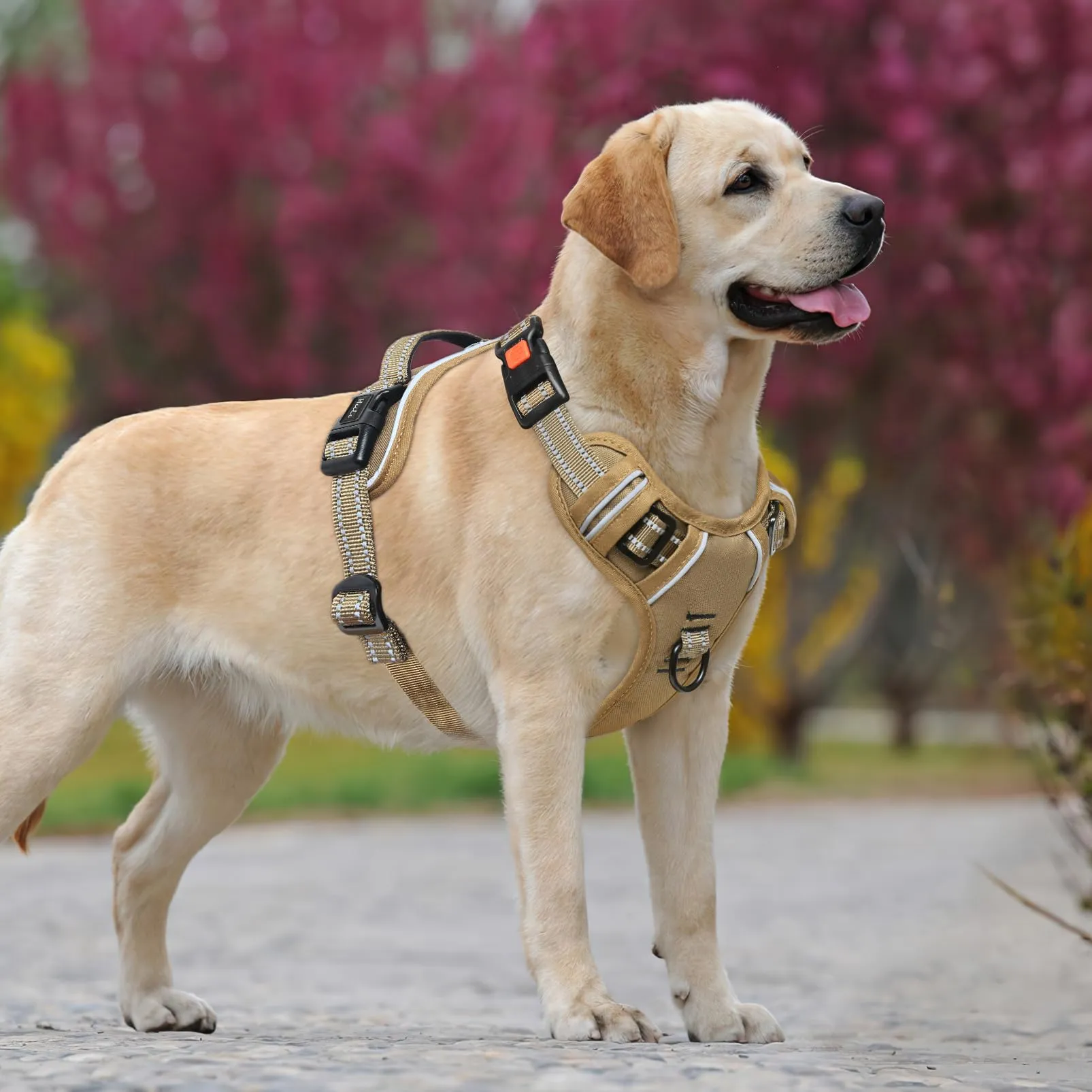HEELE Pettorina Cane No-Pull Regolabile Riflettente, Marrone-Serratura, XL - immagine 5