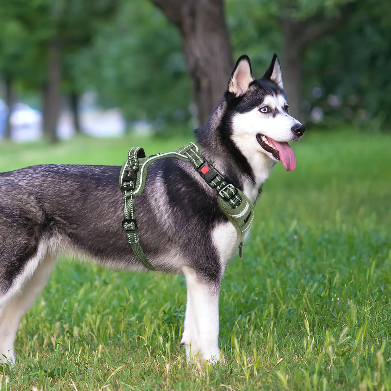 HEELE Pettorina Cane No-Pull Regolabile Riflettente, Verde-Serratura, XL - immagine 5