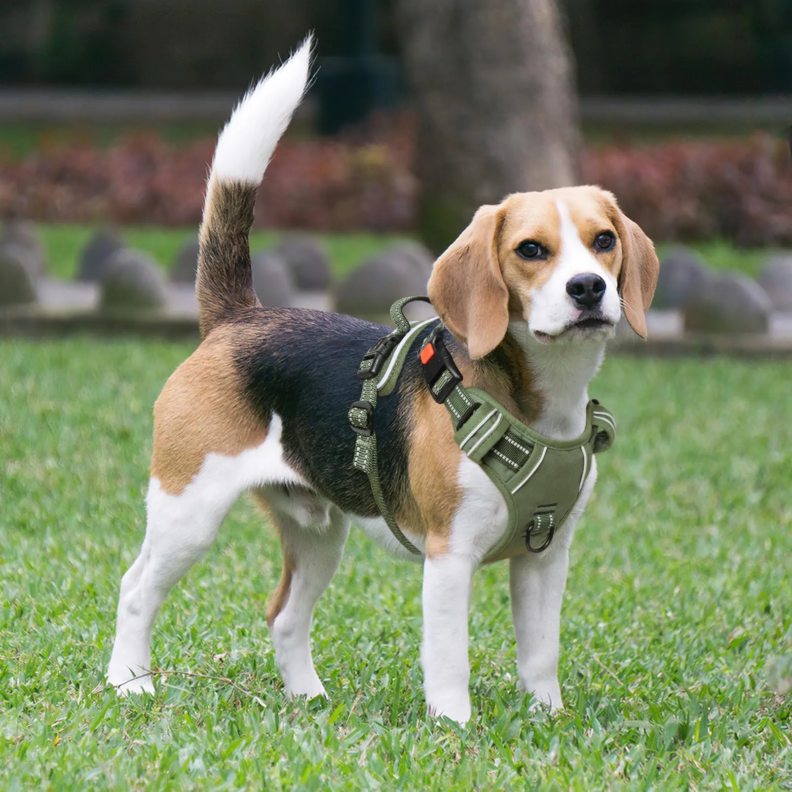 HEELE Pettorina Cane No-Pull Regolabile Riflettente, Verde-Serratura, L - immagine 7