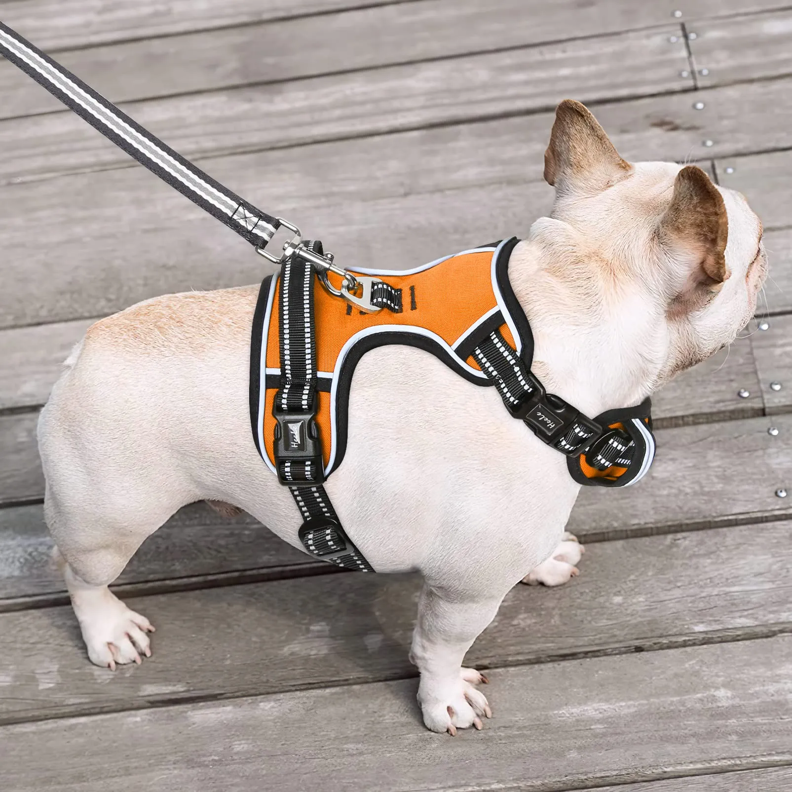 HEELE Pettorina Cane Anti-tiro Riflettente e Regolabile con Maniglia, Arancione S - immagine 6