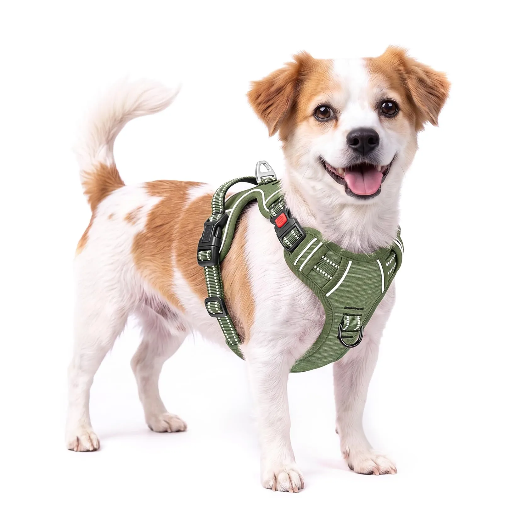 HEELE Pettorina Cane No-Pull Regolabile Riflettente, Verde-Serratura, S - immagine 1